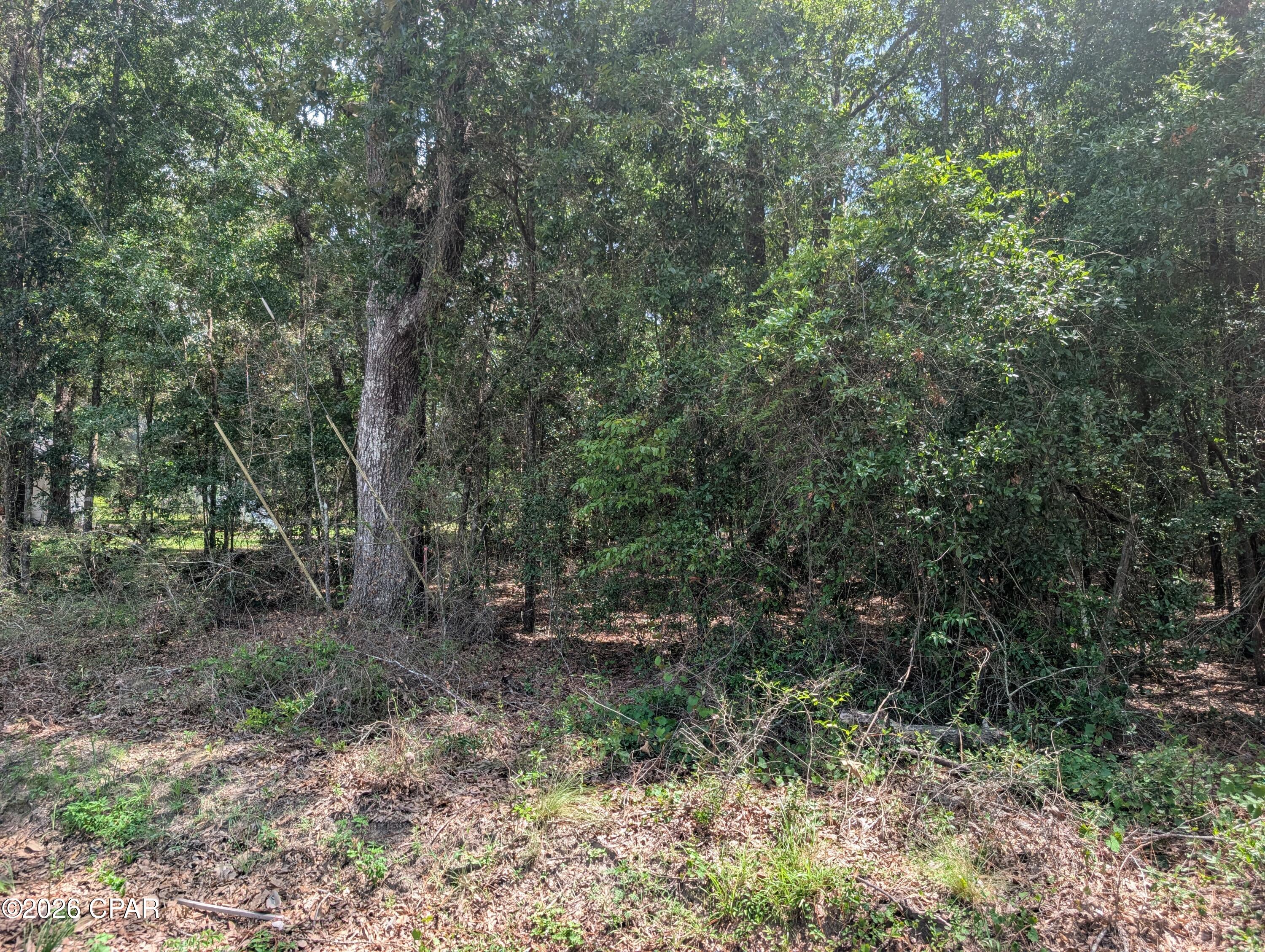 Dogwood Lake Estates - Land