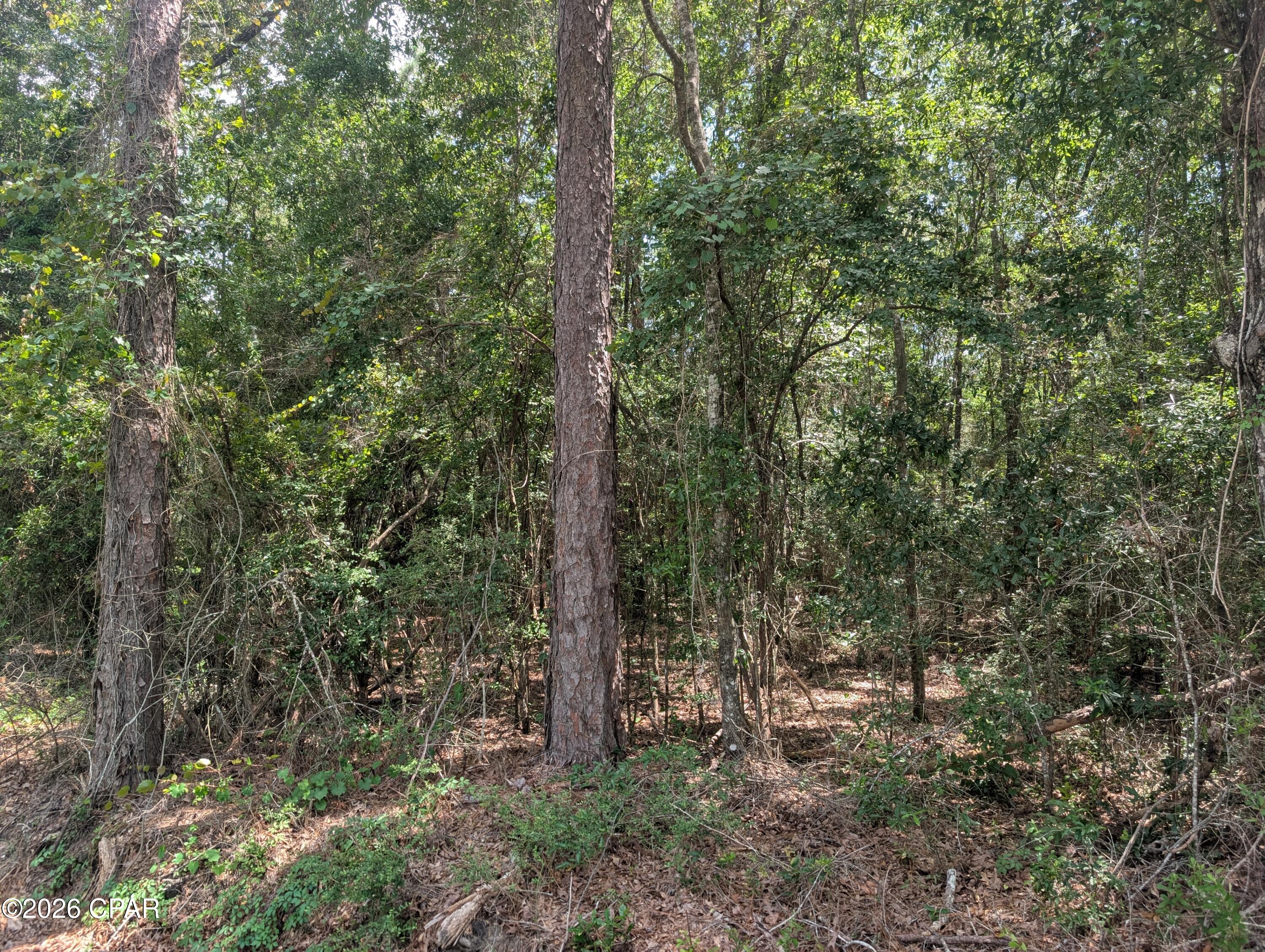 Nice building lot across the road from the Lake. Would make a great place to build your new home. Large lot that fronts on the water canal that joins the two Lakes. Also fronts on the golf Fairway. This is a beautiful 18-hole golf course, with great rates. 52-acre Lake right across the road with some great fishing and public boat ramp. All this and only about an hour from Panama City Beach.