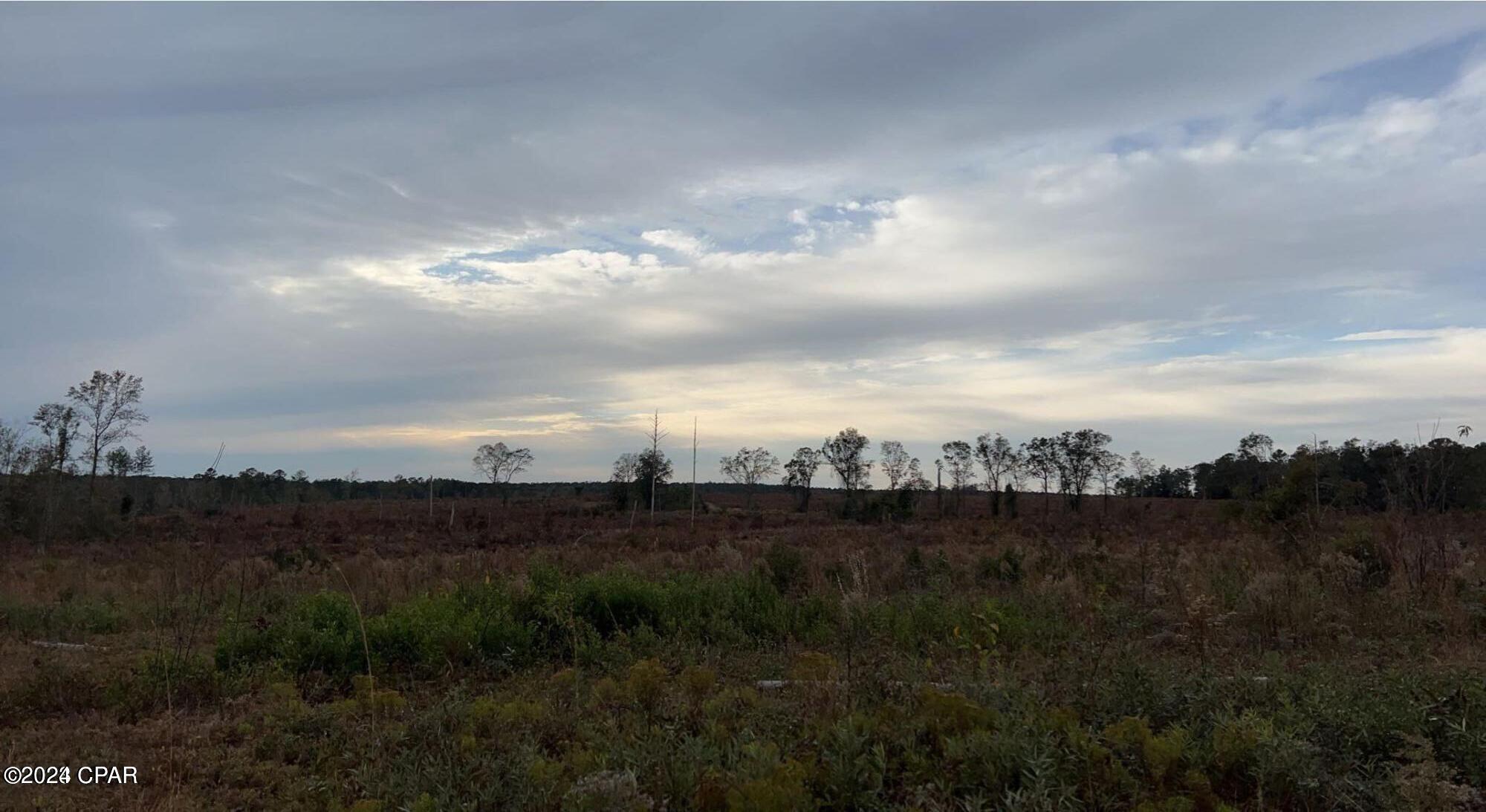 Other - Land