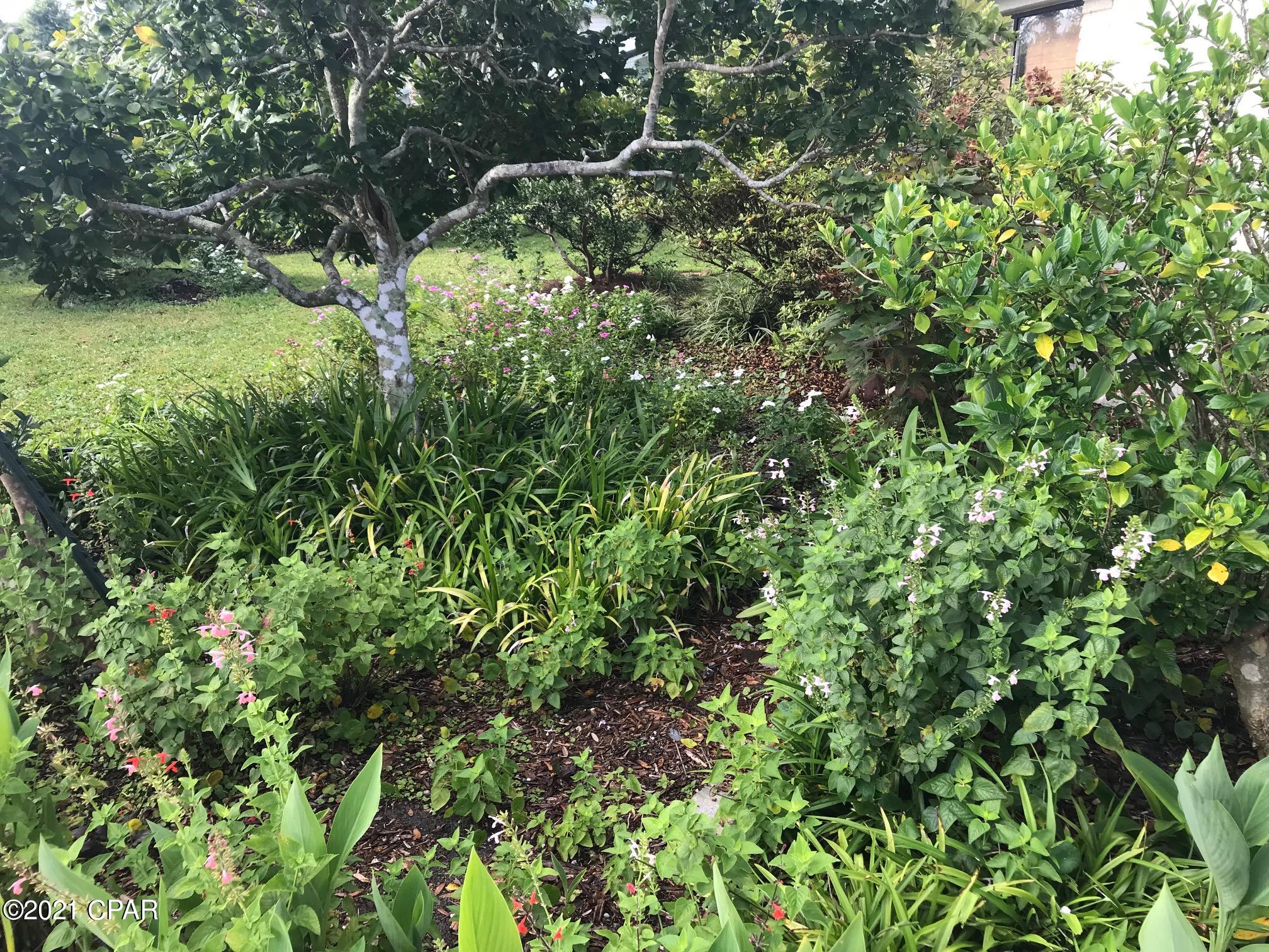 Lake Drive Heights - Residential