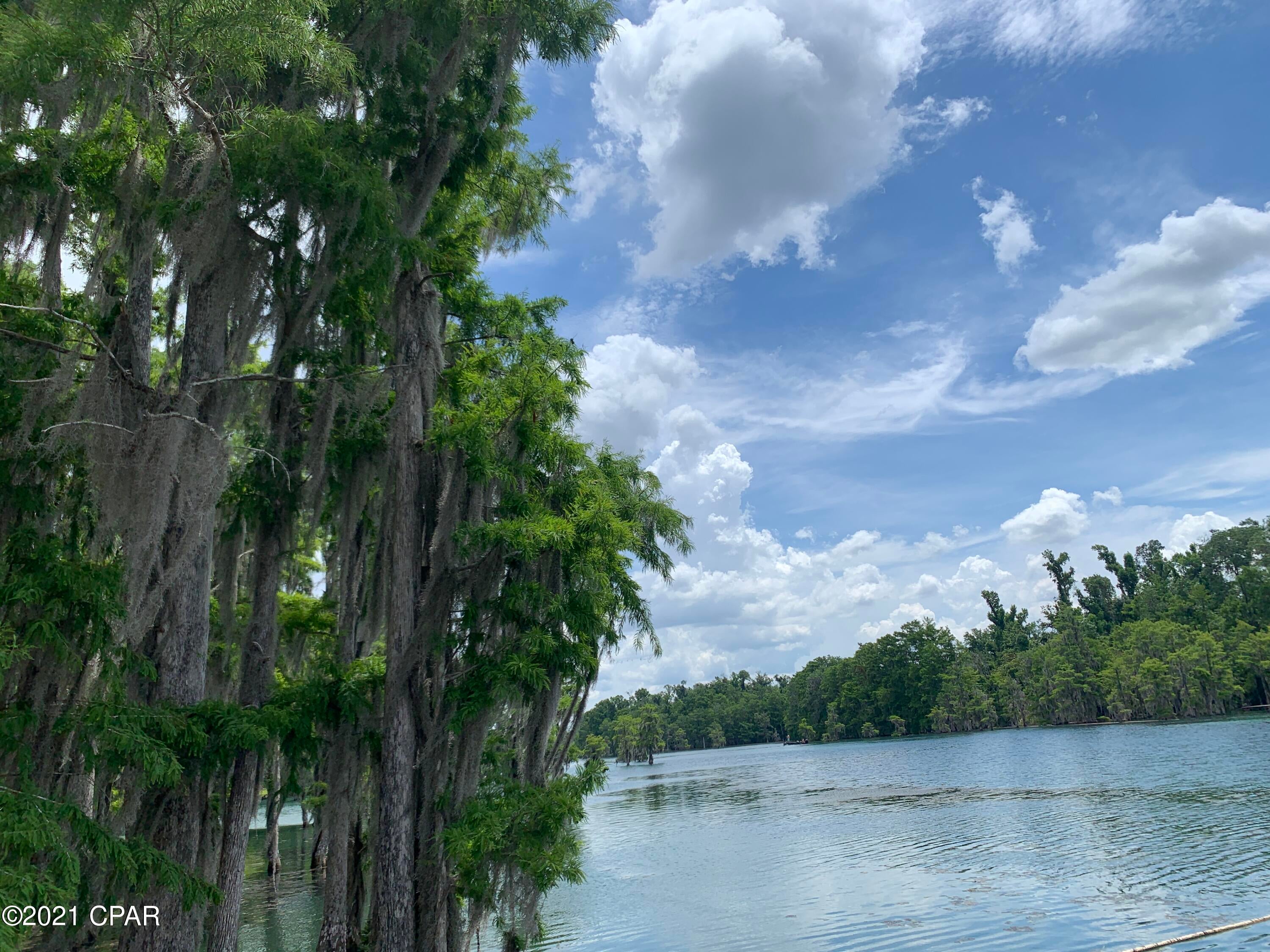 Mill Pond Springs - Residential