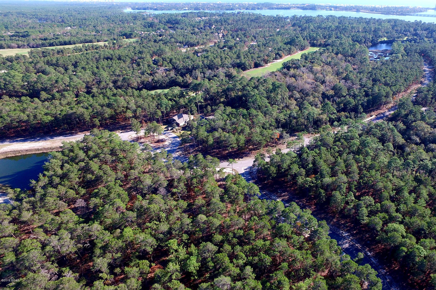 Wild Heron Phase X - Land