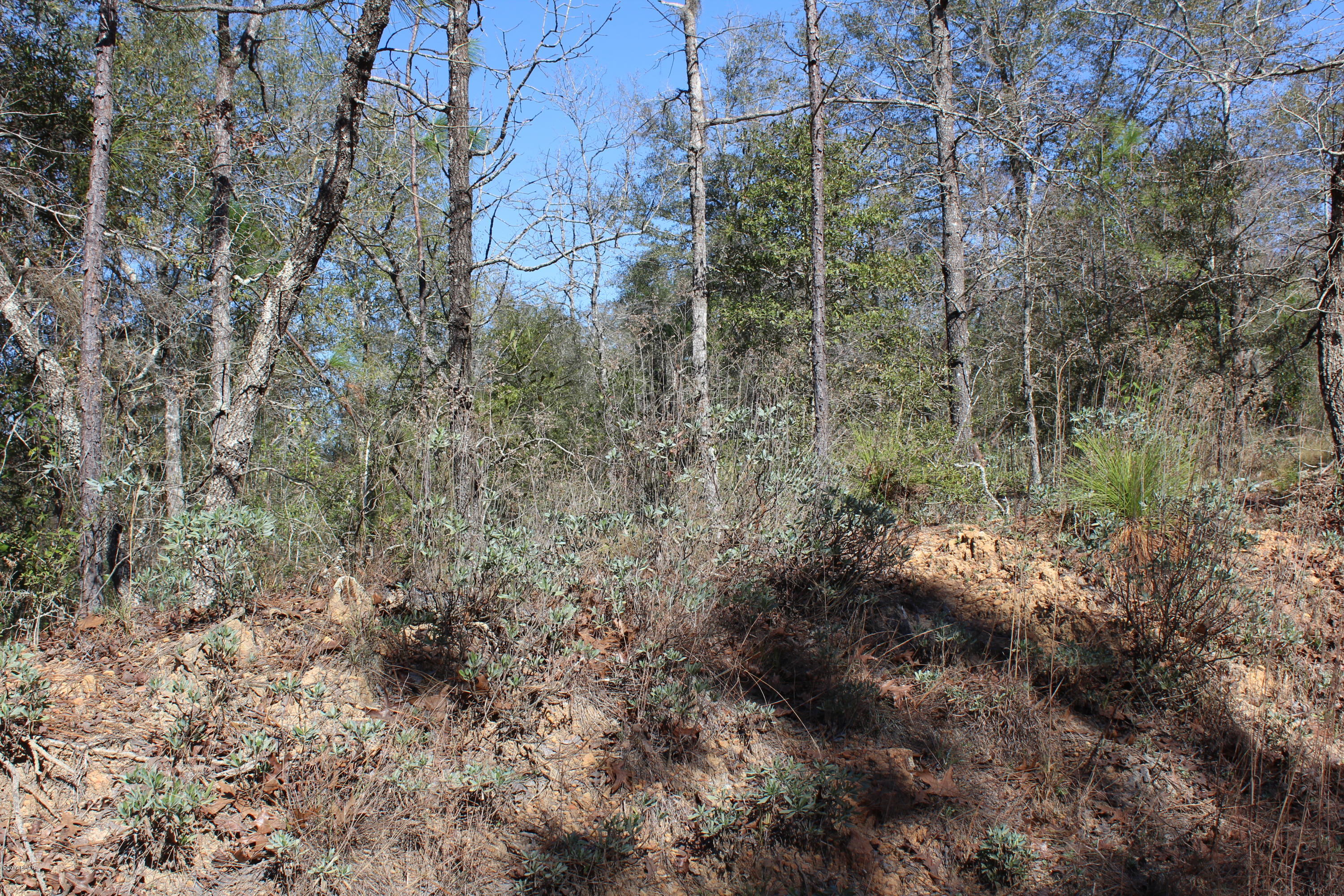 No Named Subdivision - Land