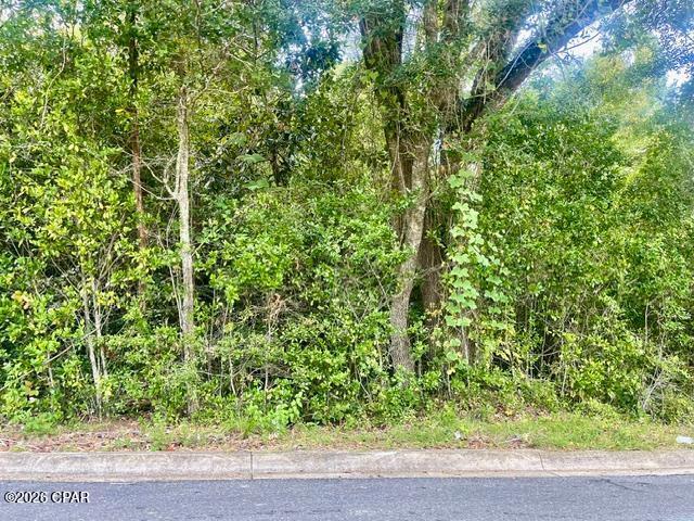 Very nice size 2 lots (almost 3/4 of acre total) in town with city water and sewer available!  Lots have nice native trees making it possible to have a nice yard leaving the large lovely ones intact.  
The area is just off of South Street in Marianna.
The size makes it very attractive to put your home here for  plenty of room so as to not be crowded.