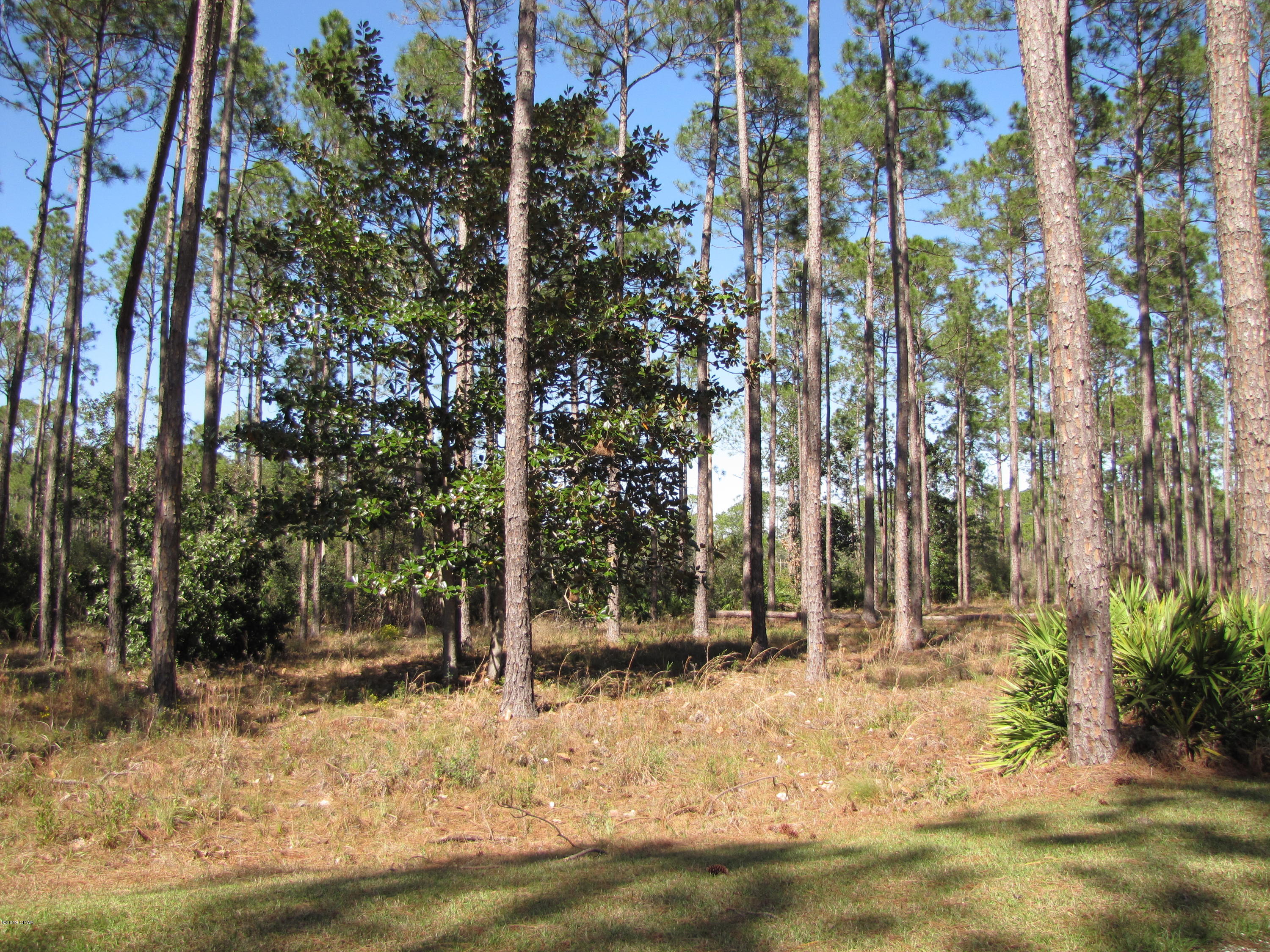 Beautiful .66 acre lot in Rivercamps at Crooked Creek. Lot FRONTING on tidal marsh which leads to Crooked Creek. Private gated community with lots of amenities, pool, community room, boat ramp, walking trails, boardwalks and much more. Located within a few minutes from Northwest Florida International Airport, close to Panama City Beaches, Pier Park shopping and much more.