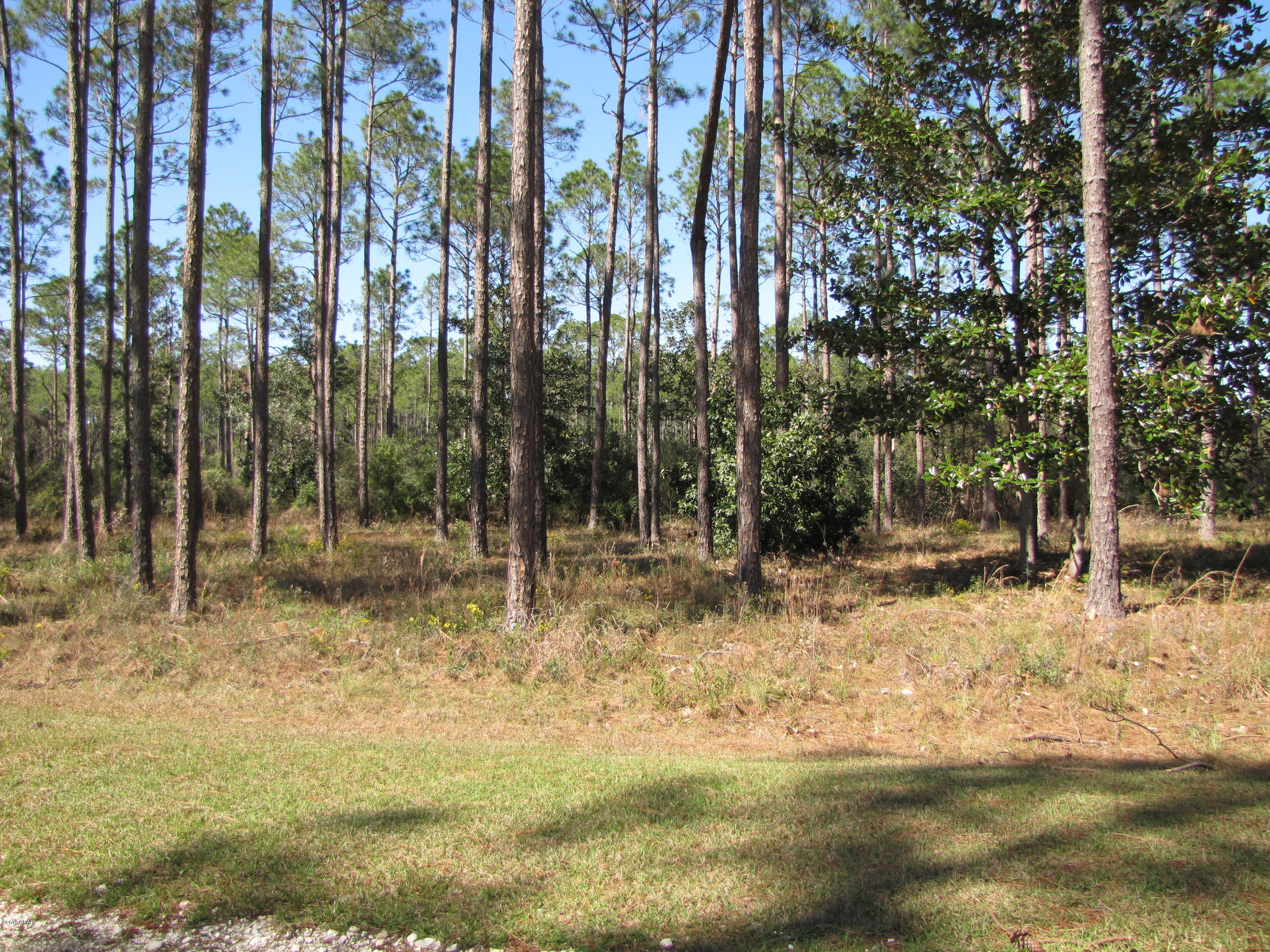 Rivercamps On Crooked Creek Ph 3 - Land