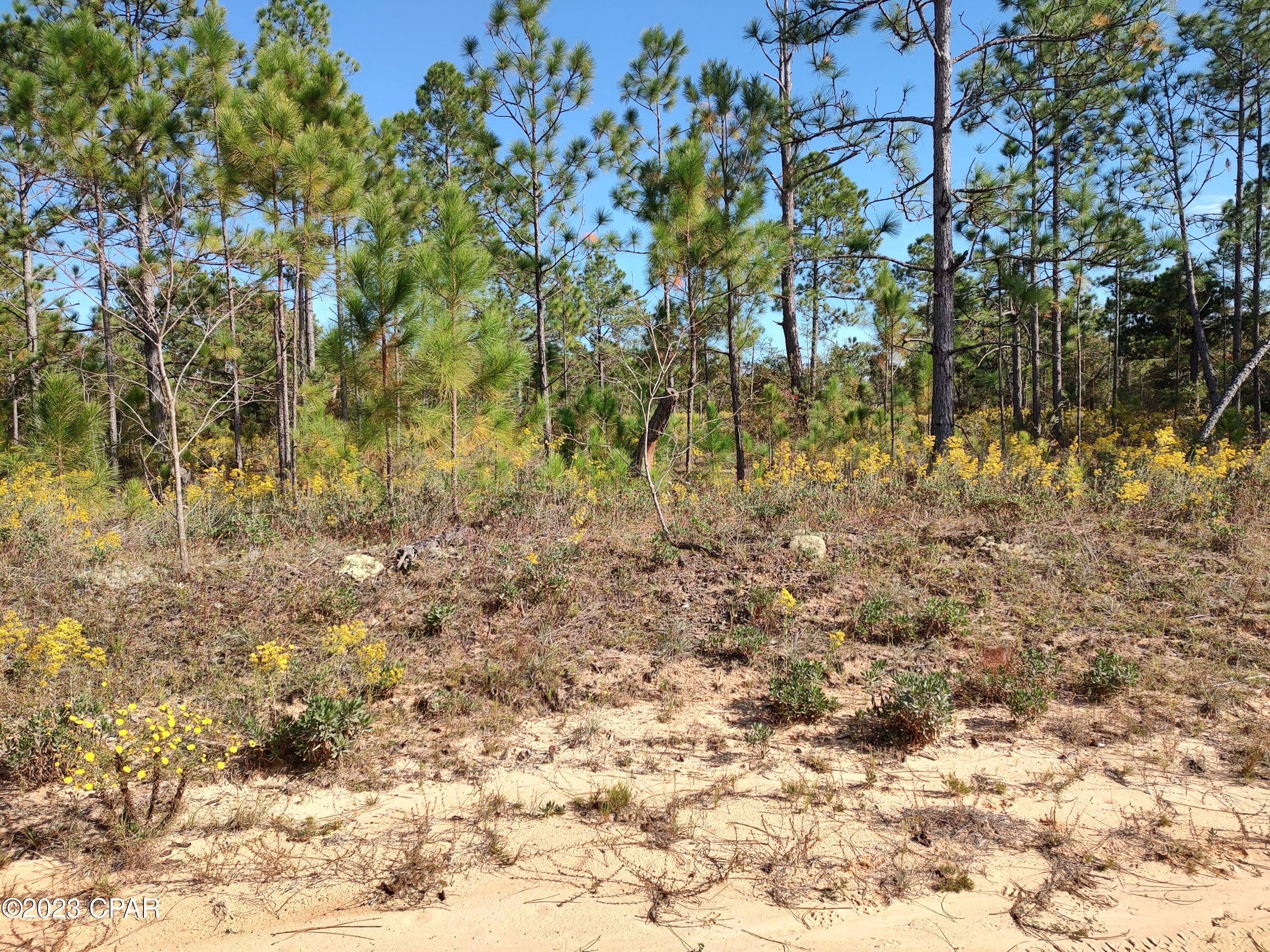 Nice, level residential lot, just a short distance from paved CR 167 in Compass Lake in the Hills Subdivision.  This lot is one of six lots being sold by the same owner.  She will negotiate a package deal with a huge saving, if you have a customer looking for several lots.