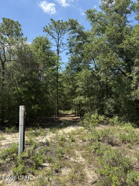 Discover 3.33 acres MOL of high-and-dry land, to be split from the parent parcel, offering the perfect blend of privacy and natural beauty. Tucked away at the end of a deeded easement, this property is loaded with beautiful oak and pine trees, with portions already cleared to help you envision your future homesite. With multiple building locations to choose from, you'll have plenty of flexibility to create your ideal country retreat.
Bring your horses, farm animals, and gardening plans--there's ample room to enjoy a rural lifestyle. An additional adjoining 3.33-acre parcel is also available for purchase, providing even more possibilities. Enjoy easy access to Compass Lake, just minutes away, where you can launch your boat, fish, or spend the day on the water with your jet skis. Conveniently located off Highway 231, you'll have a straight route north to Dothan, Alabama, and south to Panama City and the beautiful Gulf Coast beaches. If privacy is what you're seeking, this property is a must-see.