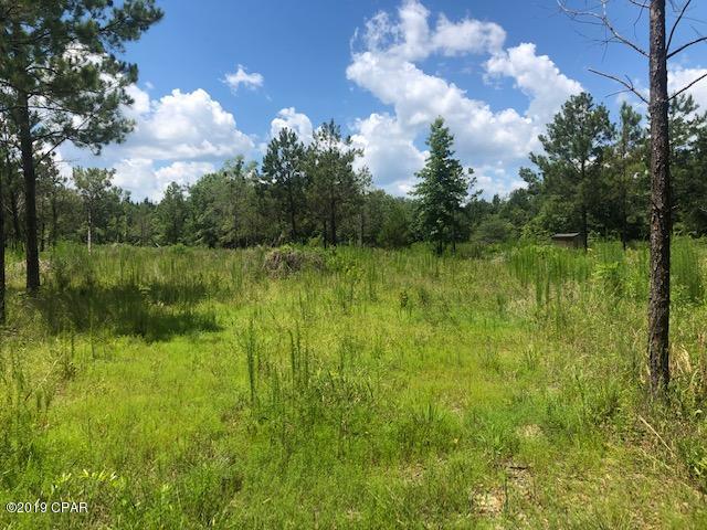 This 5 acre parcel has been partially cleared and is ready for your dream home! Paved road frontage, just minutes from Bonifay. Within hour of Worlds Most Beautiful Beaches and access to Northwest Fl Airport.  No mobile homes.