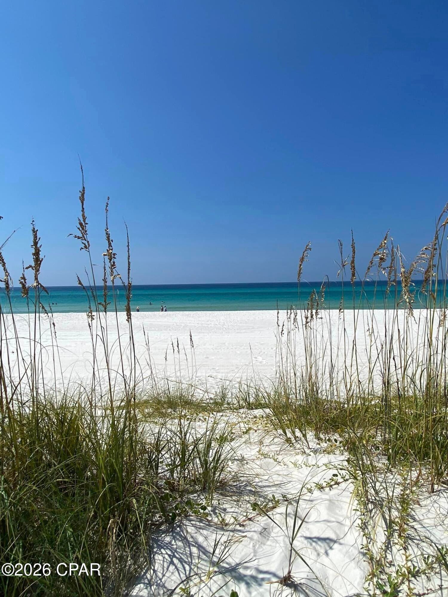 Palmetto Trace Phase IV - Residential