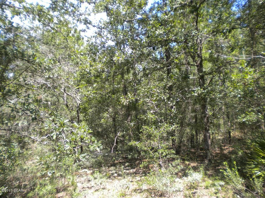 Compass Lake Hills Unit 5 - Land