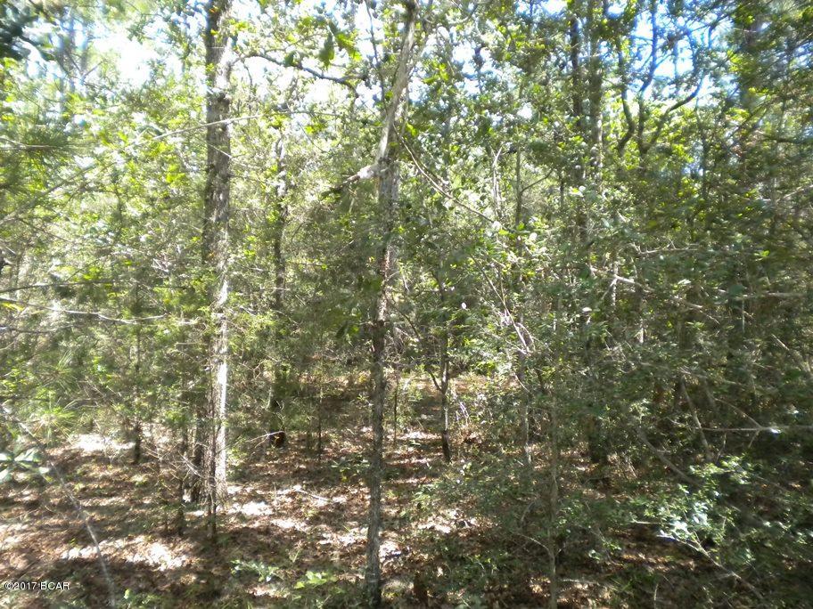 Compass Lake Hills Unit 5 - Land