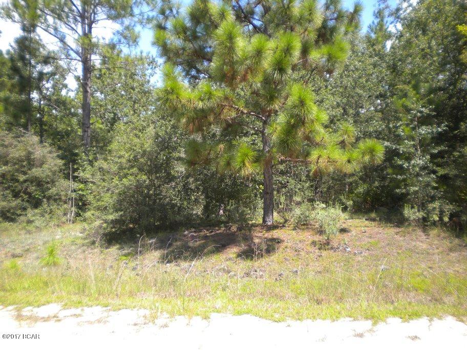 BELOW PROPERTY APPRAISER VALUE!

Great building lot off the beaten path if you are desiring some privacy.  This lot is a nice corner lot and larger than most lots in Compass Lake.  If you are not ready to build, this is a great investment as you can immediately enjoy all the amenities of Compass Lake in the Hills and build at a later date.

No Mobile Homes.