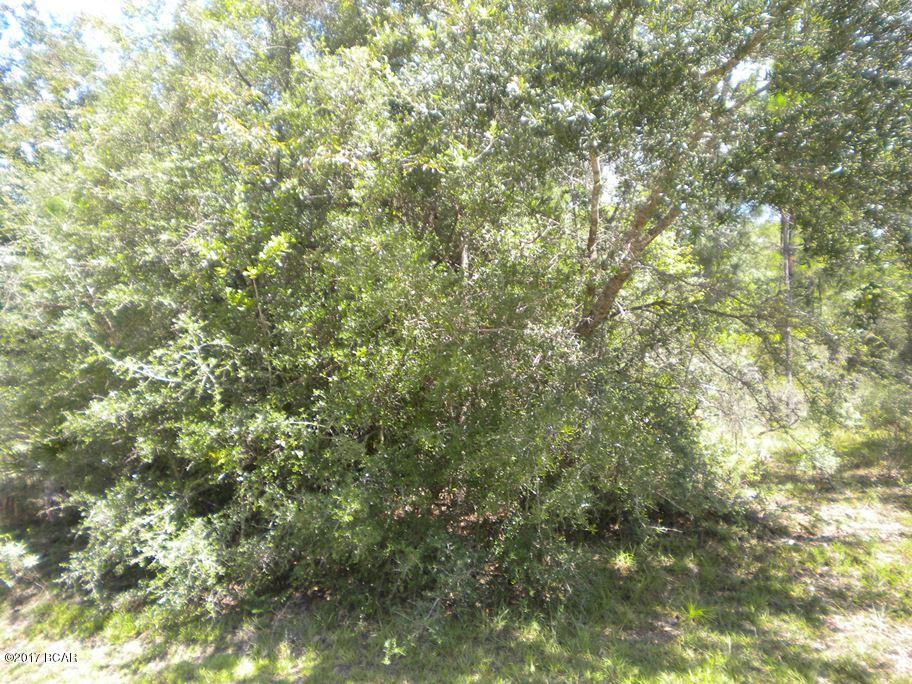 Compass Lake Hills Unit 5 - Land