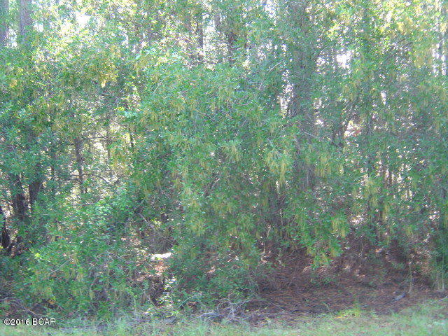 Great Lot with all the amenities of Compass Lake in the Hills.