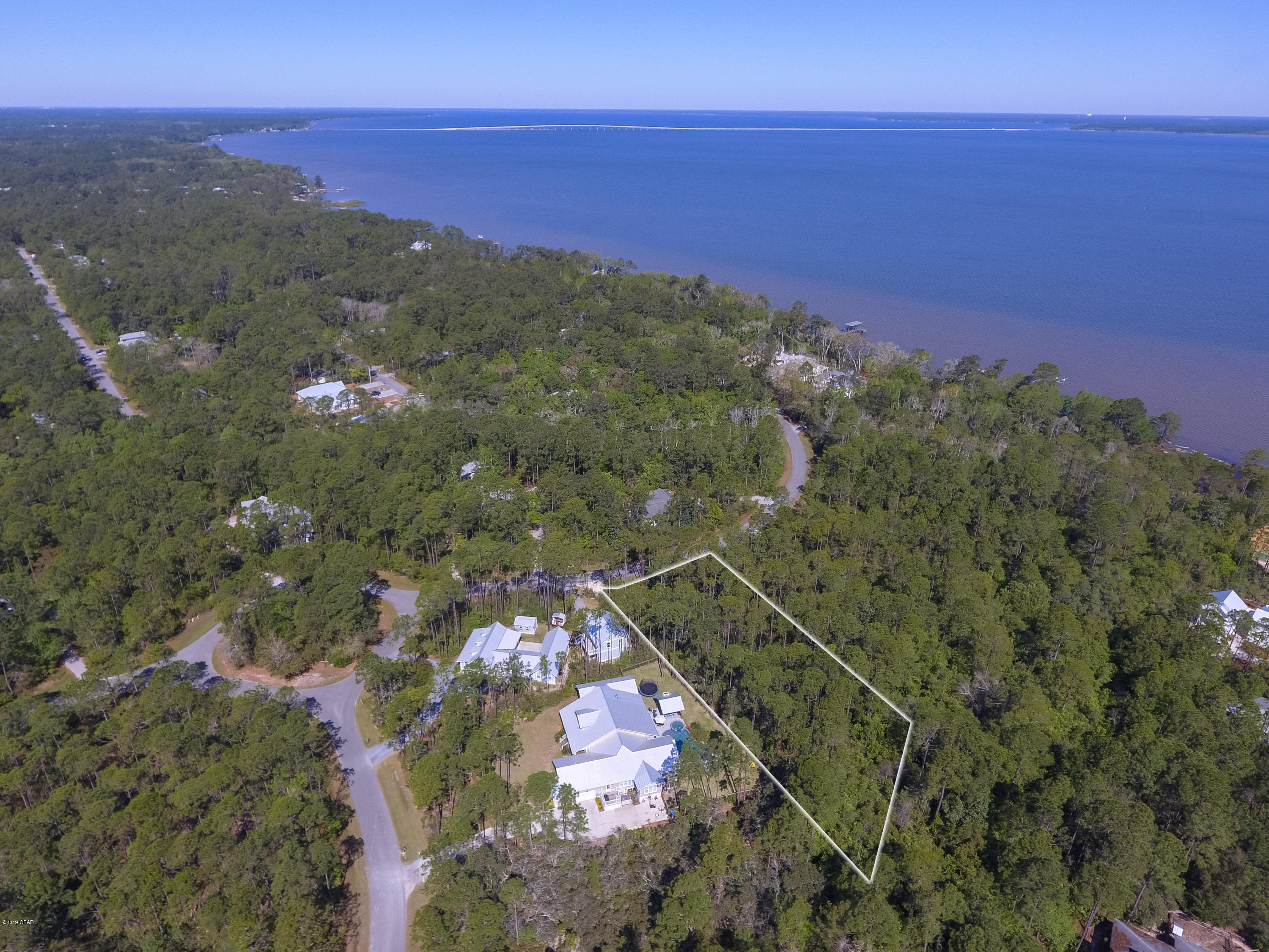 The Woods - Land