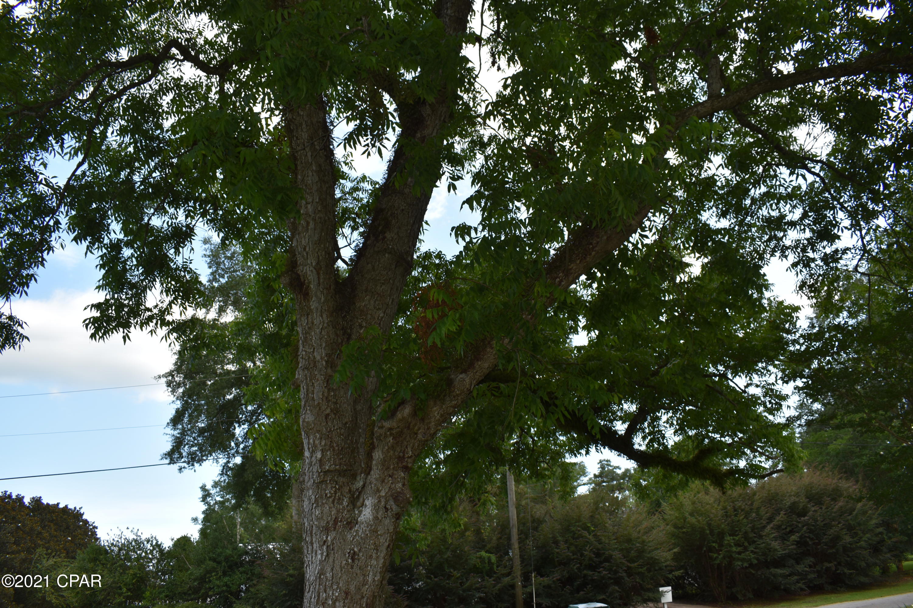 Cottondale - Residential