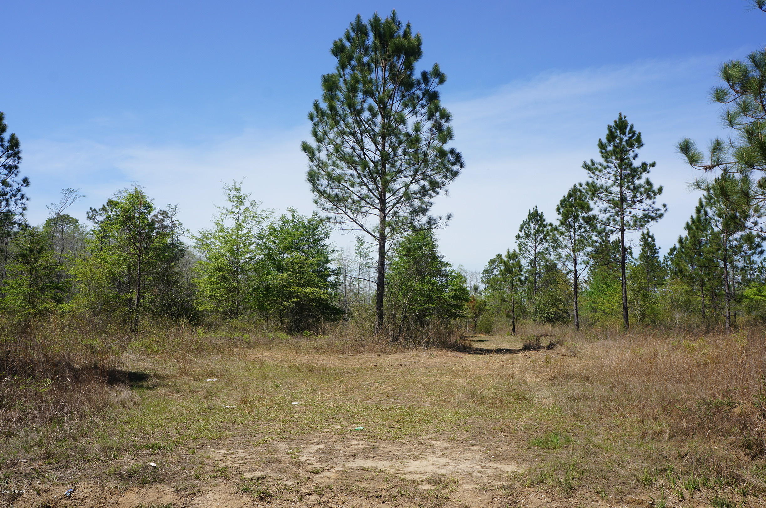 This very reasonably priced tract consisting of 253 acres of good hunting land with 1.3 miles of dirt road frontage.  The landowner states that the dirt road is being considered for paving. According to the USDA soil mapping, 72% of the property would make excellent crop land.