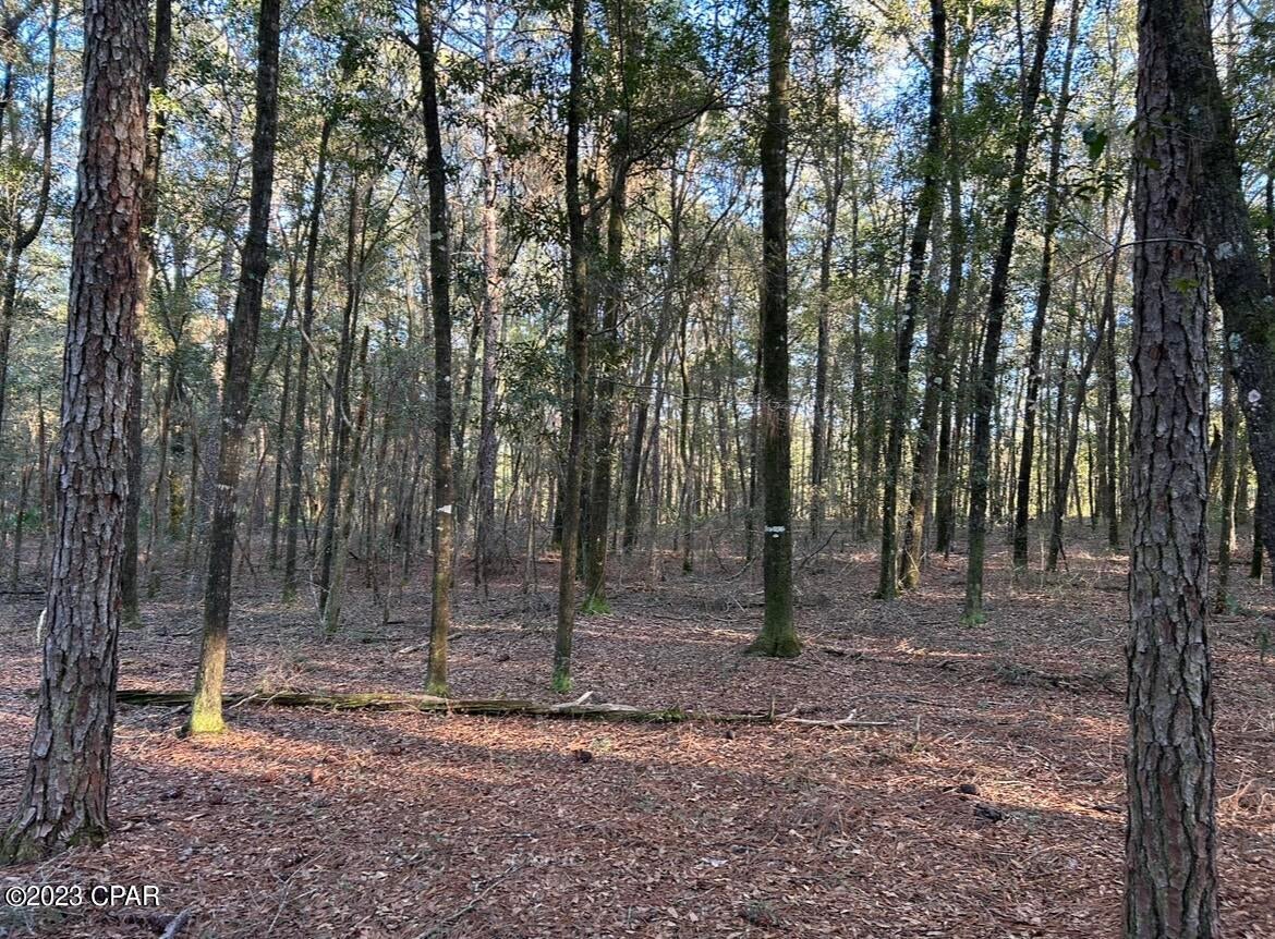 Other - Land