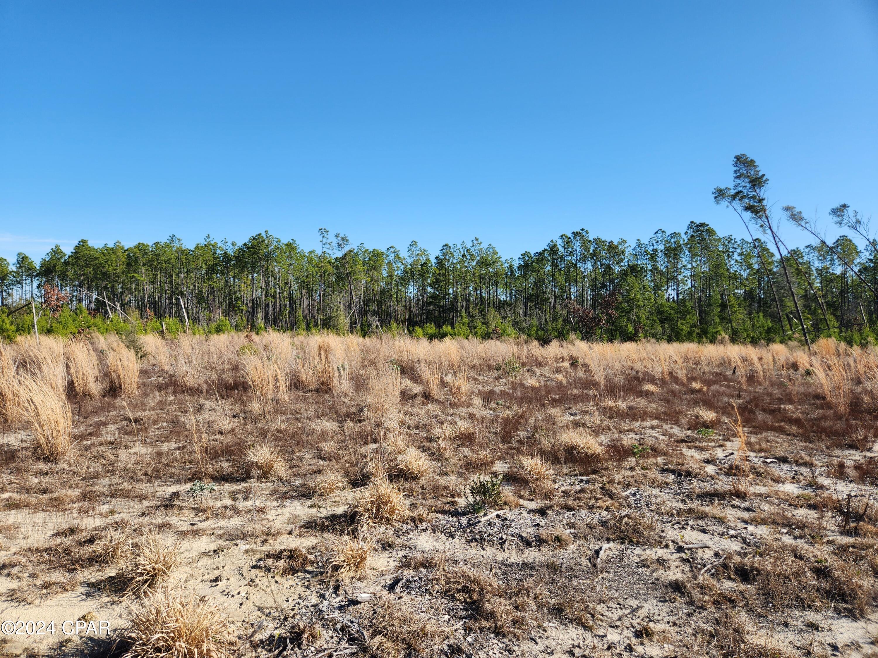 10 Acres of land ready to build your dream home on! This land is 45 minutes away from Tallahassee, a little over an hour from the beach and surrounded by many different outdoor activities like hiking, swimming, boating and many more! Great for someone looking to build or someone looking for a property with horse potential that wants to be close to everything but still live the peaceful quiet life in a small but growing town!