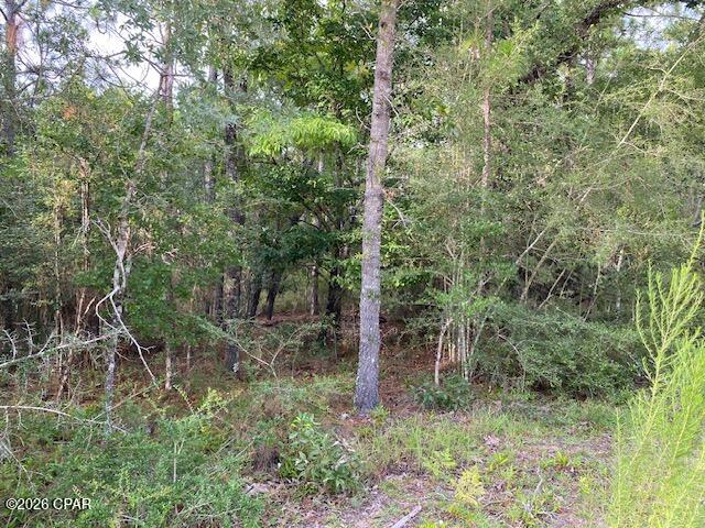 Nice wooded corner lot in Compass Lake in the Hills.  Less than an hour to Panama City.
Adjacent lot is available .
Measurements are approximate.
There is a nonmandatory HOA yearly fee of $135 that will provide you access to Lake McCormick, the Clubhouse, swimming pool, cabin rentals.
