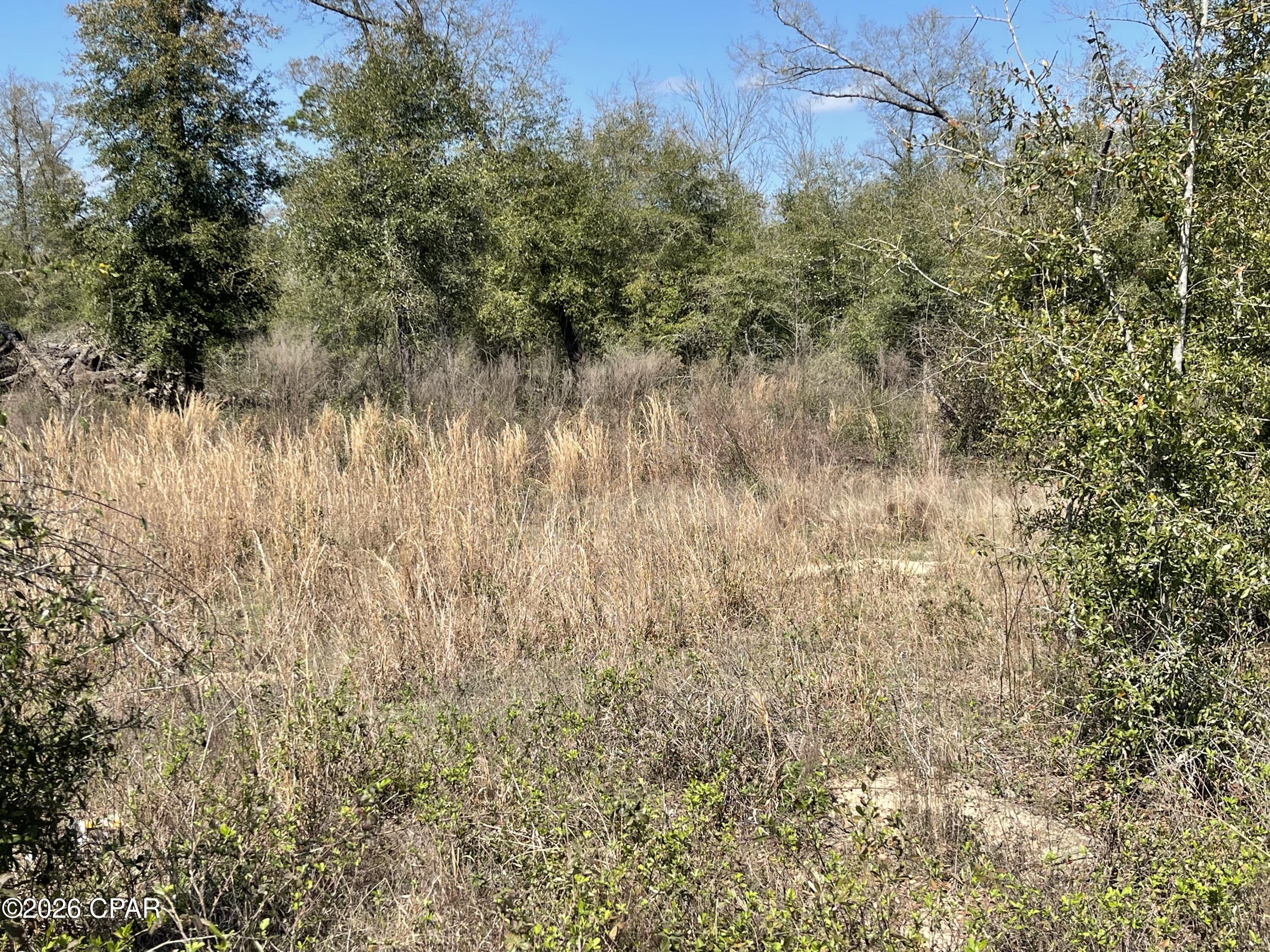 This parcel is ideally situated between two established residences (each being 10 acres). The property offers a unique blend of privacy and peace of mind, with neighboring homes nearby for added comfort. Enjoy the space and seclusion of a larger parcel while still benefiting from a sense of community. 
Speights Way is about 20-30 minutes from downtown Marianna and I-10, where you will find Walmart, Lowes, Sonny's, and Beef O'Brady's. Along with a variety of fast-food options and gas stations. Dothan, Alabama, is about 50 minutes away, and the white sands of Panama City Beach are about an hour-and-a-half drive.