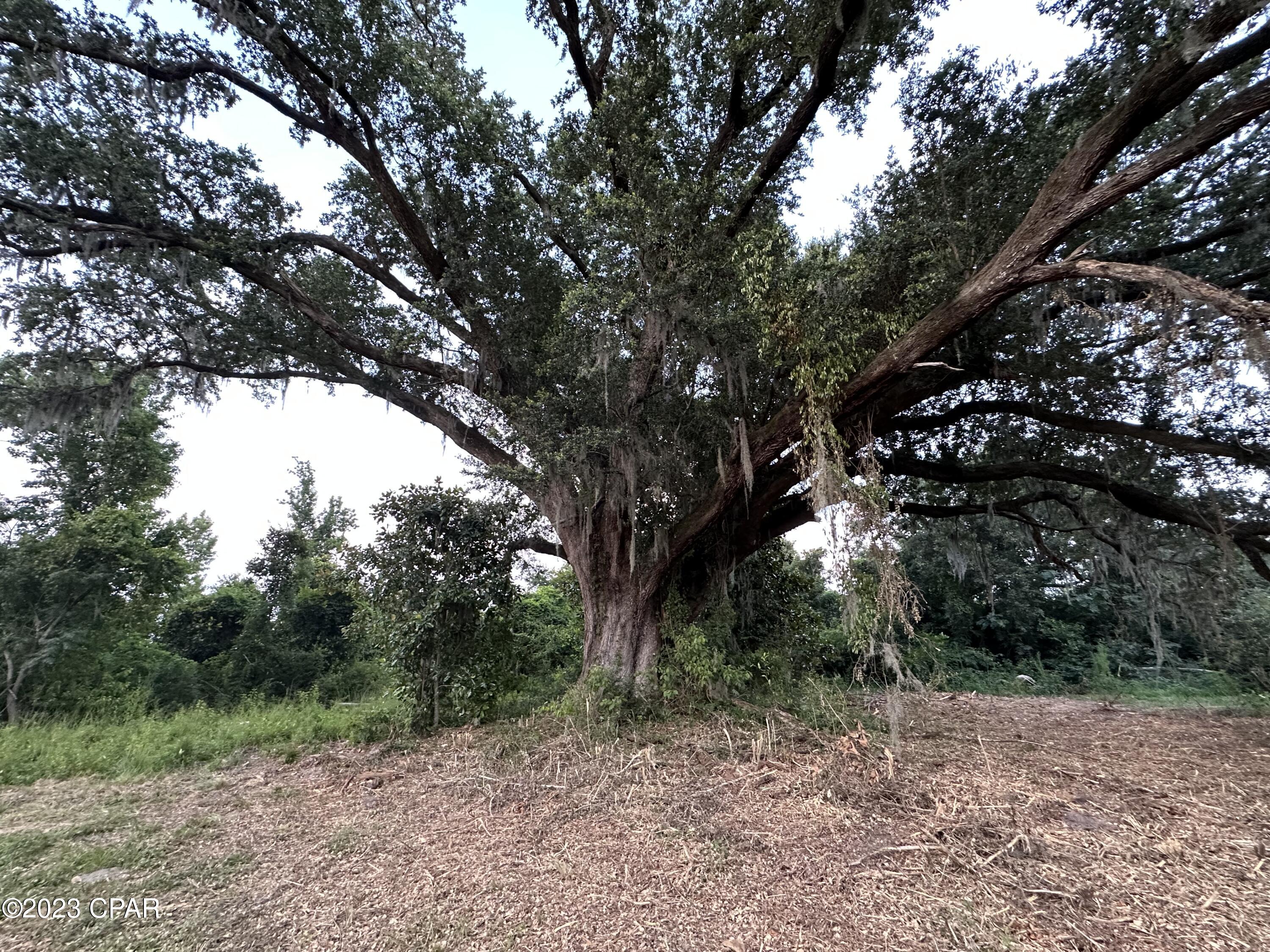 [No Recorded Subdiv] - Land