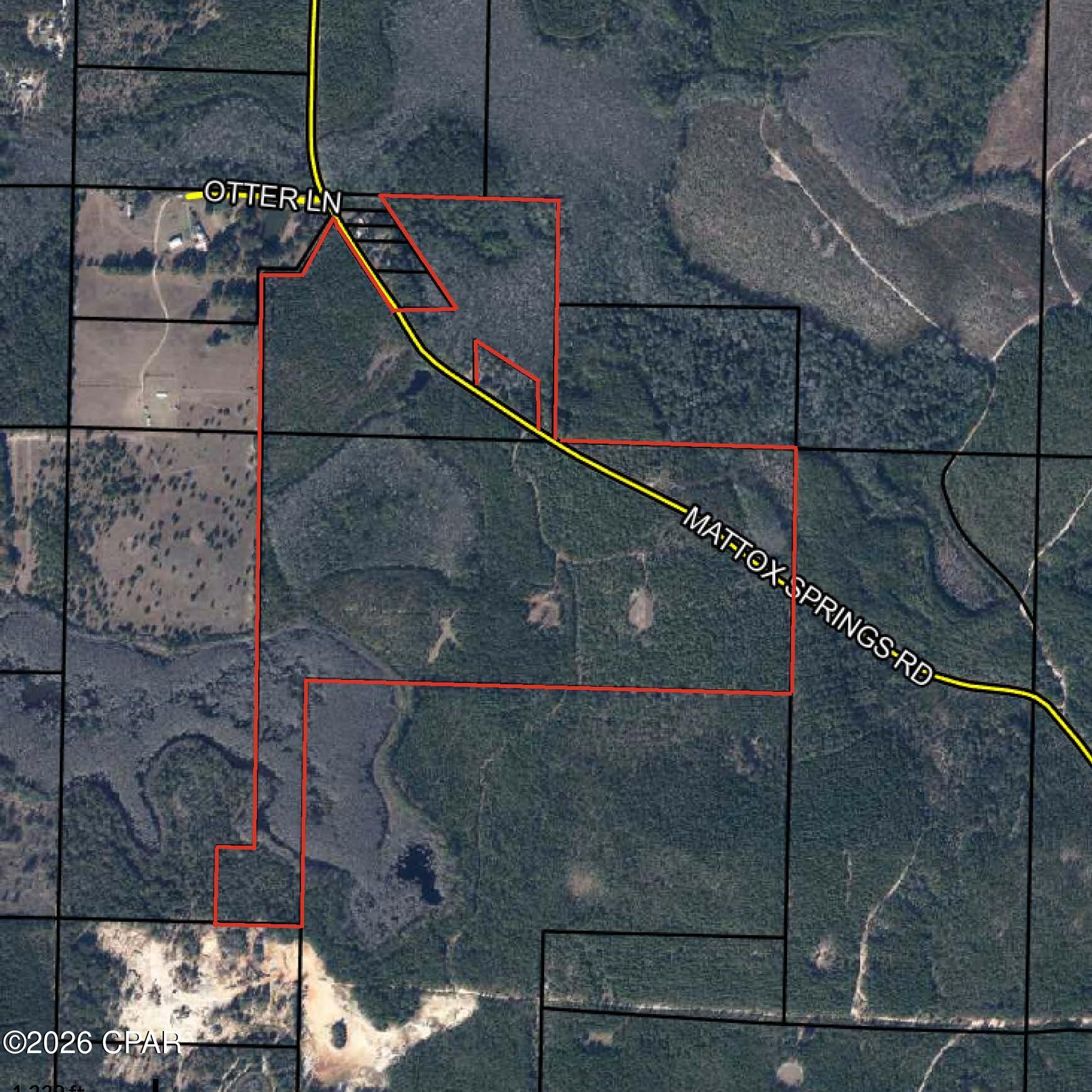 Looking for acreage, privacy, and investment potential just an hour north of the beach? This 136-acre tract offers an incredible opportunity in a beautiful natural setting with over 900 feet of road frontage, approximately 10-year-old planted pines, a picturesque pond and just one hour north of the beautiful Emerald Coast beaches

Whether you're looking for a recreational retreat, timber investment, hunting property, or a long-term land investment, this property offers plenty of possibilities.