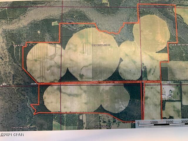 710 Acres under center pivot irrigation, 105 acres of dry land cultivation, 172 acres of replanted pines, 2 years old. 253 acres of hardwoods NA natural pines. Estimated that 150 additional acres can be placed under center pivot irrigation. 

Improvements: small frame house, metal barns, equipment shed, 1-4 inch well with upright tank



Established farm for row crops. Paved Rd frontage! Excellent water aquifer for irrigation.