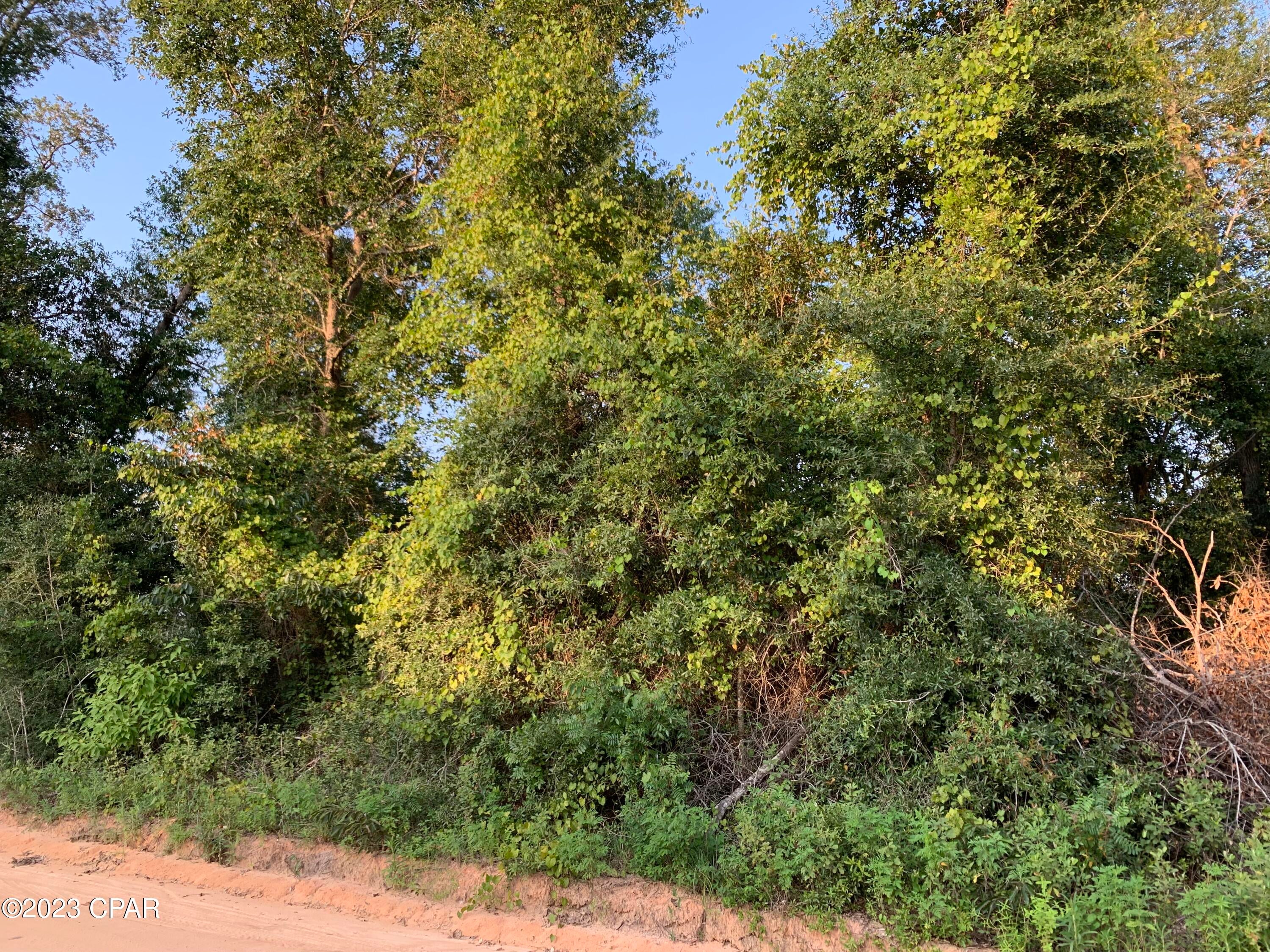 Wooded Lot in the beautiful Round Lake Subdivision.  Great for a RV spot or a fishing cabin and close to the city of Alford and the I-10 Interstate exchange.  Located in Jackson County known for its fantastic lakes, crystal clear springs and rivers for all of your fishing and skiing adventures.   Enjoy a short walk down to the lake side or a lazy country road ride around the Compass Lake area, this is a great location to relax.  Drive by to see all this property has to offer.