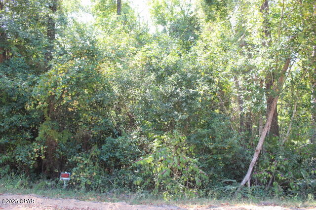 1.33 acre wooded. Close drive to State Rd 12. City Water & Sewer is available.  Mobile homes are welcome.