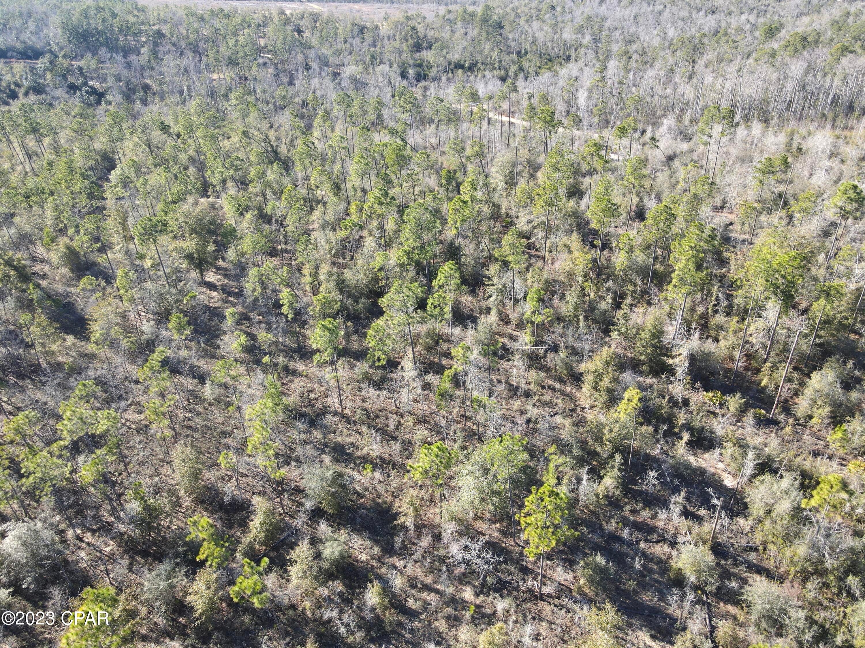 No Named Subdivision - Land