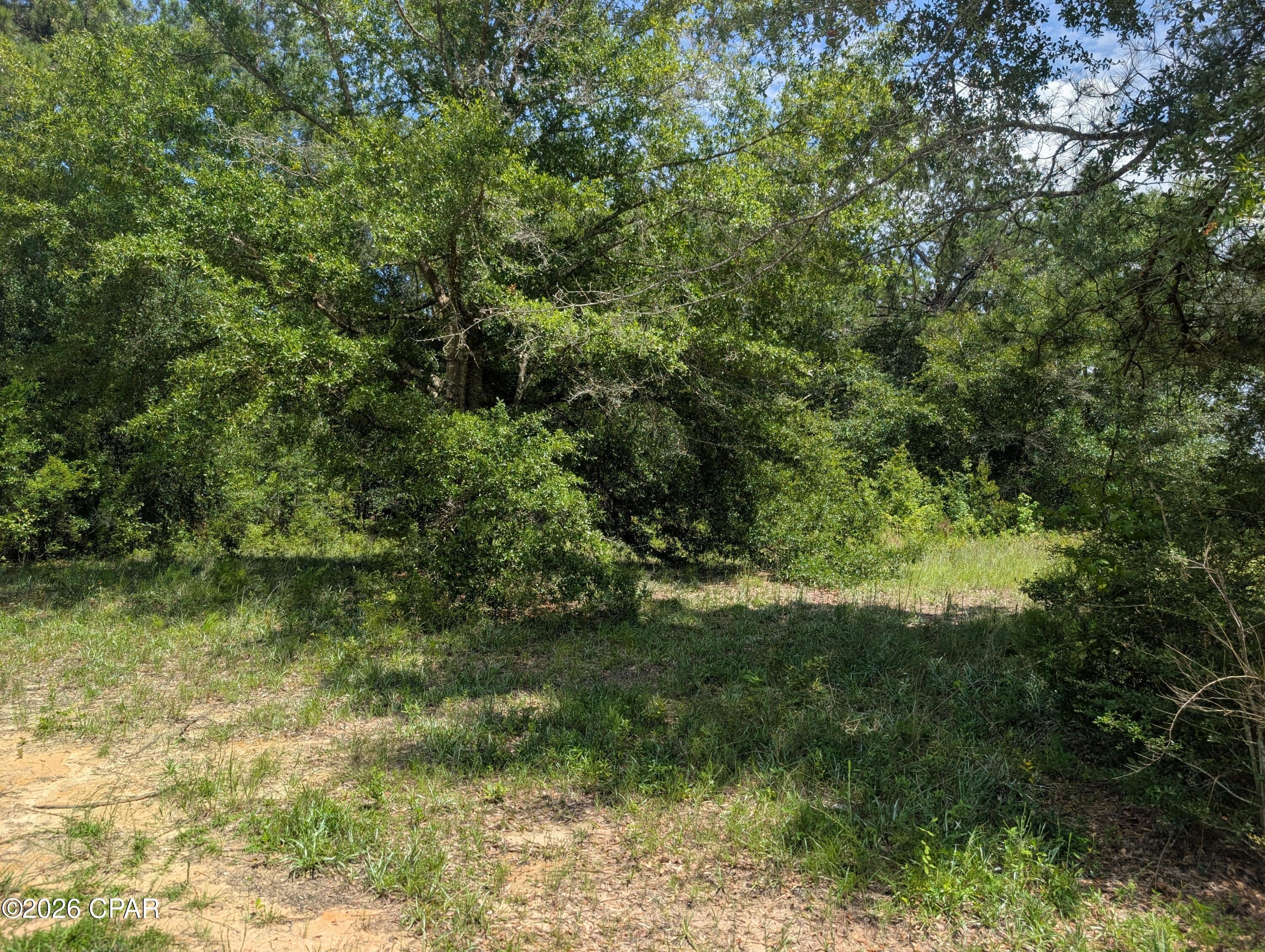 Dogwood Lake Estates - Land