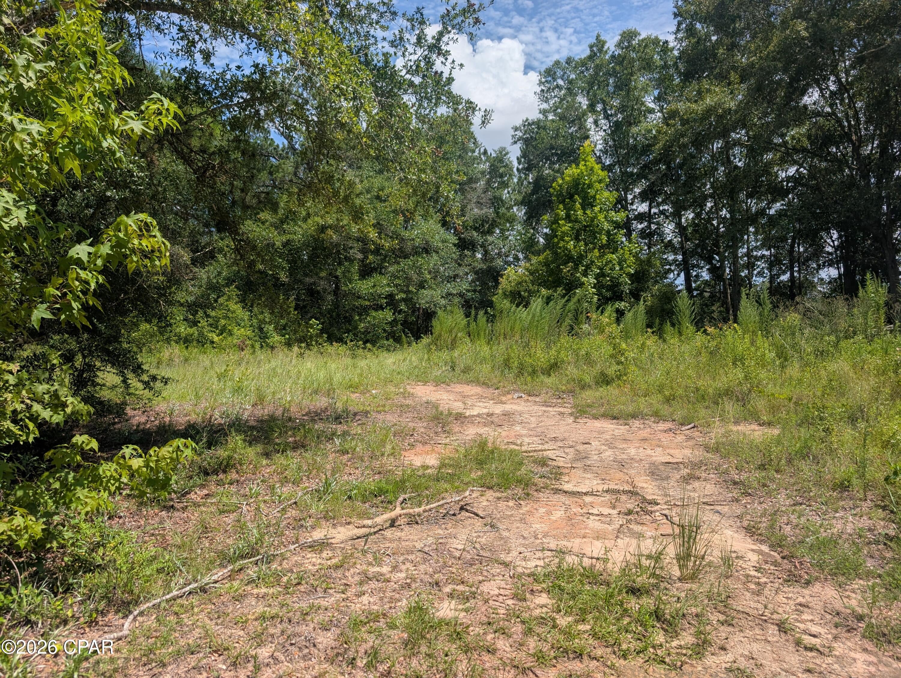 Dogwood Lake Estates - Land