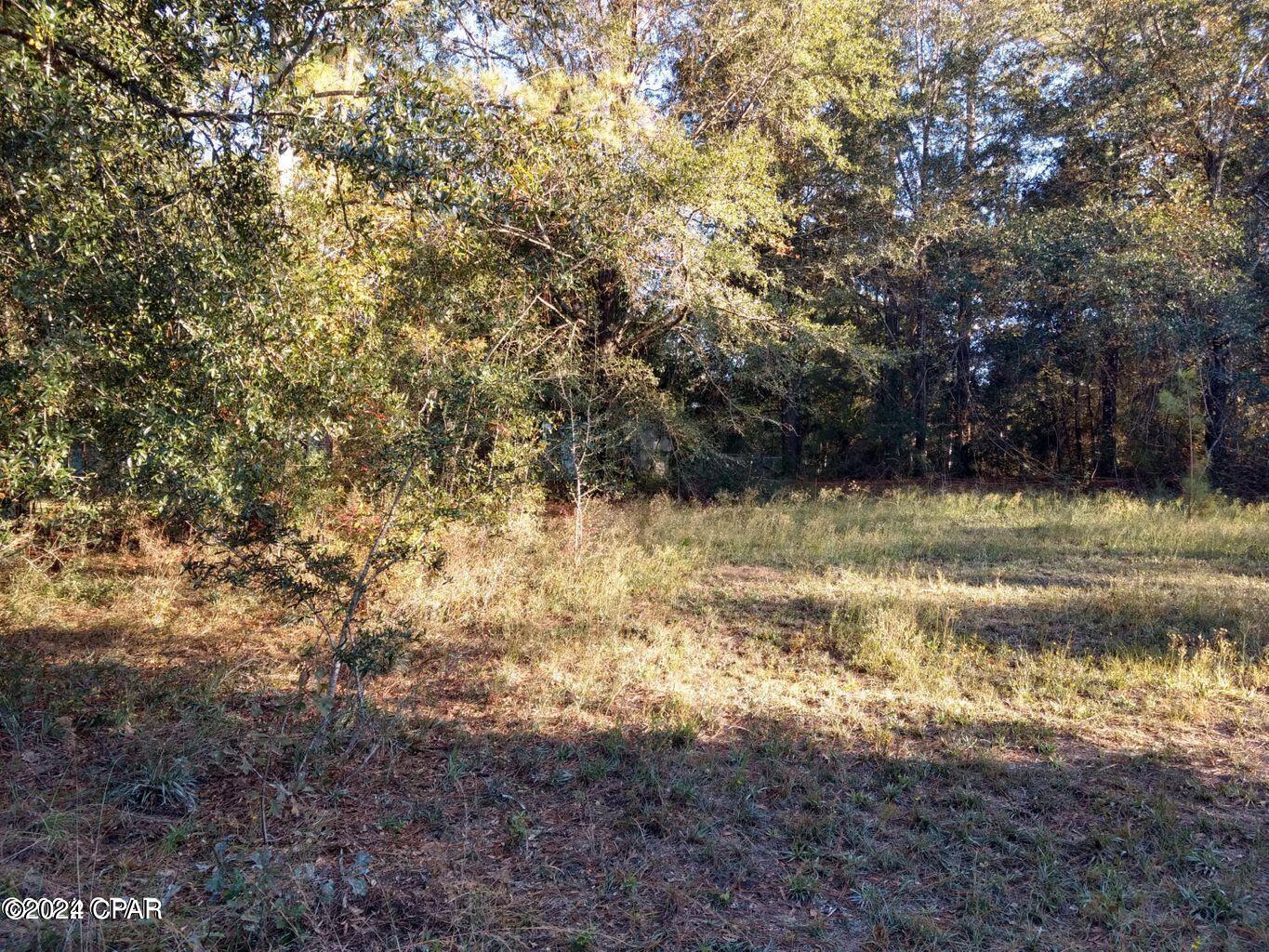 Dogwood Lake Estates - Land