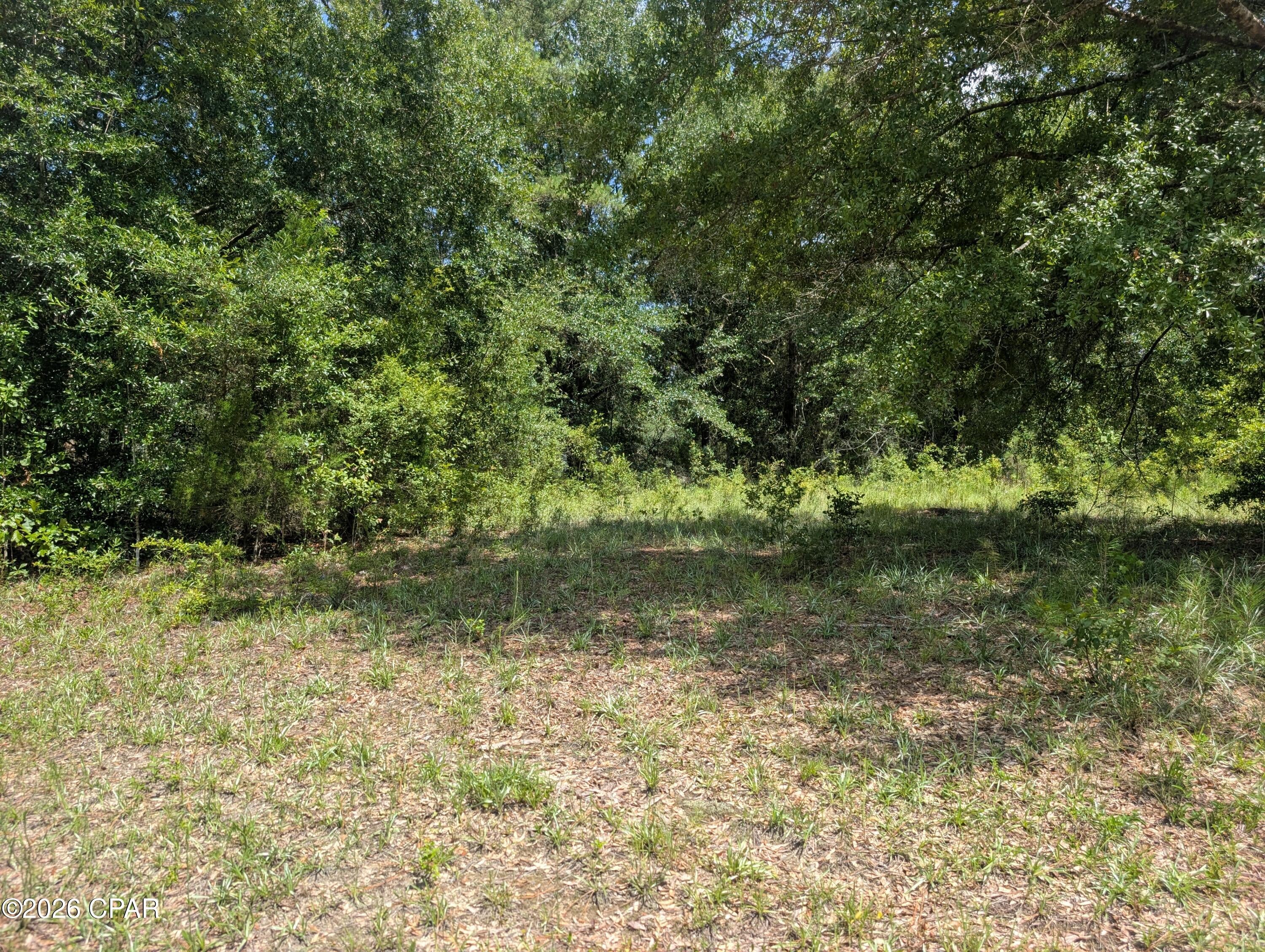 Dogwood Lake Estates - Land