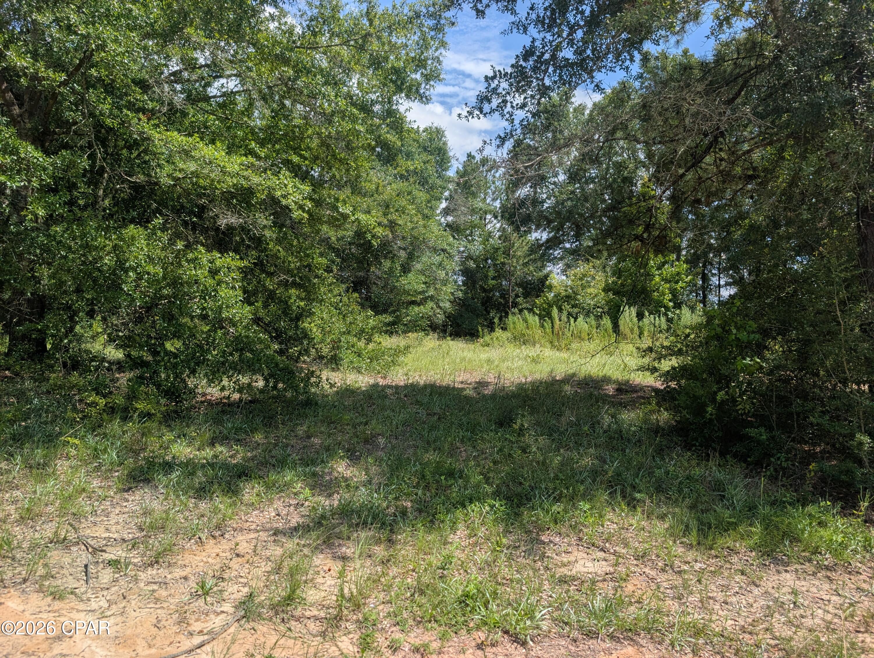 Dogwood Lake Estates - Land