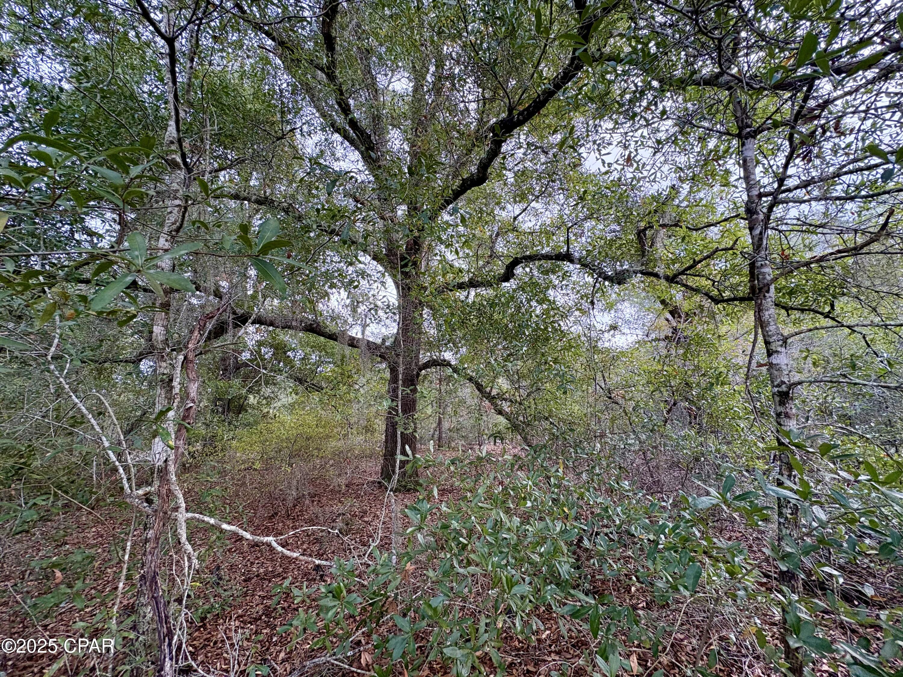 Compass Lake Hills Unit 6 - Land