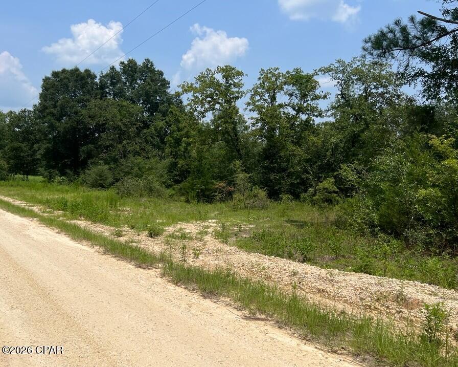 Discover the possibilities with this beautiful 4.7-acre wooded parcel located on Alton Ln in Chipley, Florida. This peaceful property offers privacy and a natural setting, making it a great opportunity for a future homesite, recreational retreat, or land investment. Located on a quiet dirt road and conveniently close to a paved county road, this property provides a balance of seclusion and accessibility. Utilities are available nearby but are not currently installed on the property. Enjoy the beauty of Washington County with no flood zone concerns. Buyer to verify all property details, including zoning, utilities, access, and allowable uses.