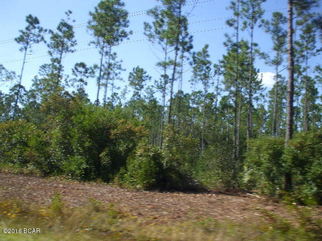 This is a parcel of wooded land with highway frontage. It has a mixture of various native trees and bushes on the property. It will be good investment property.