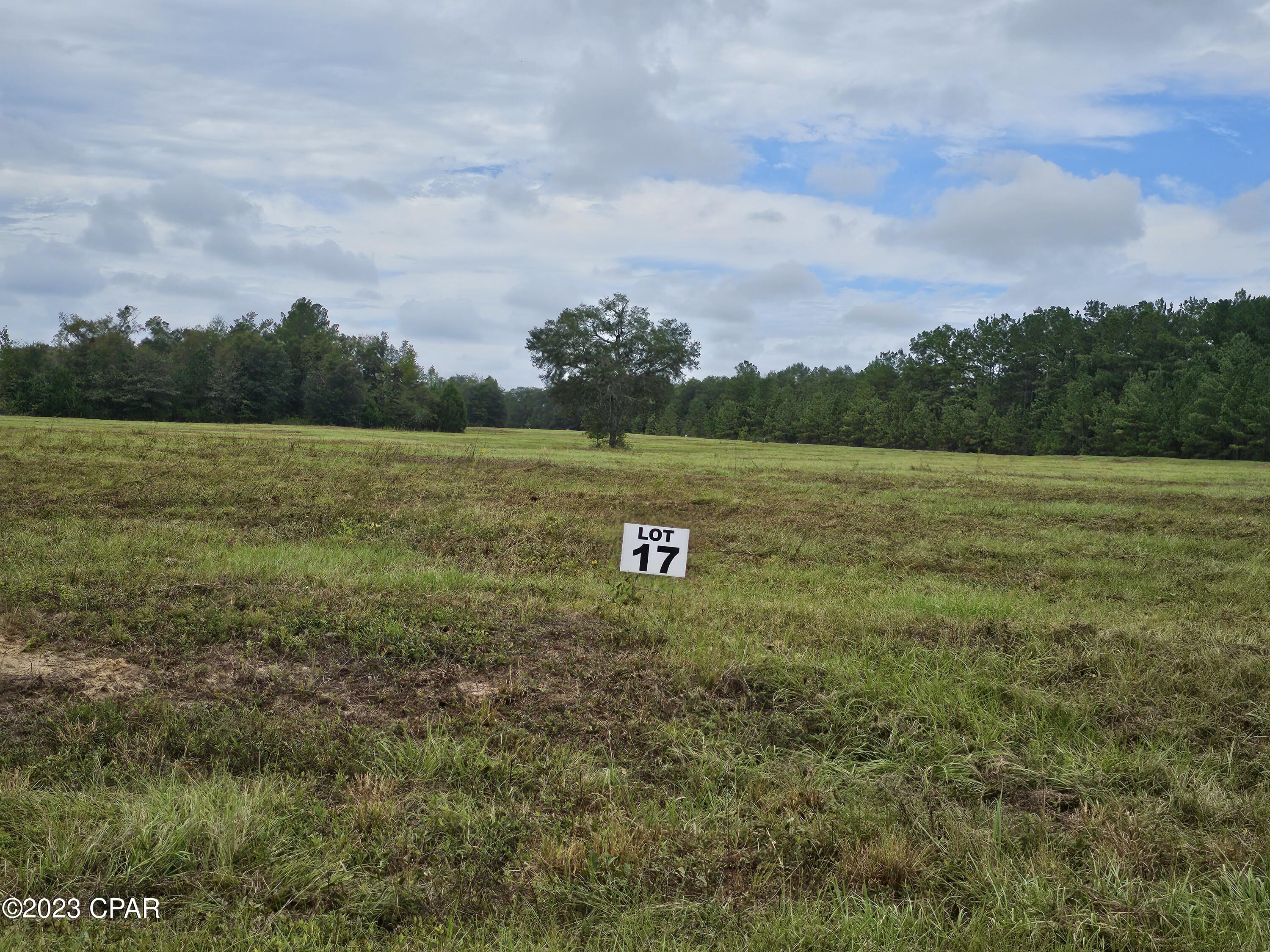 If you are looking for the perfect location in a small subdivision this is it.  Located just off of Hwy 77 South of Chipley.  It is approximately five miles from I-10 and about 30-40 minutes to Panama City.  There are deed restriction which prohibit manufactured and modular homes.  Under ground utilities, paved roaded and multiple lots are available. Photos in the listing are from multiple lots that are available.