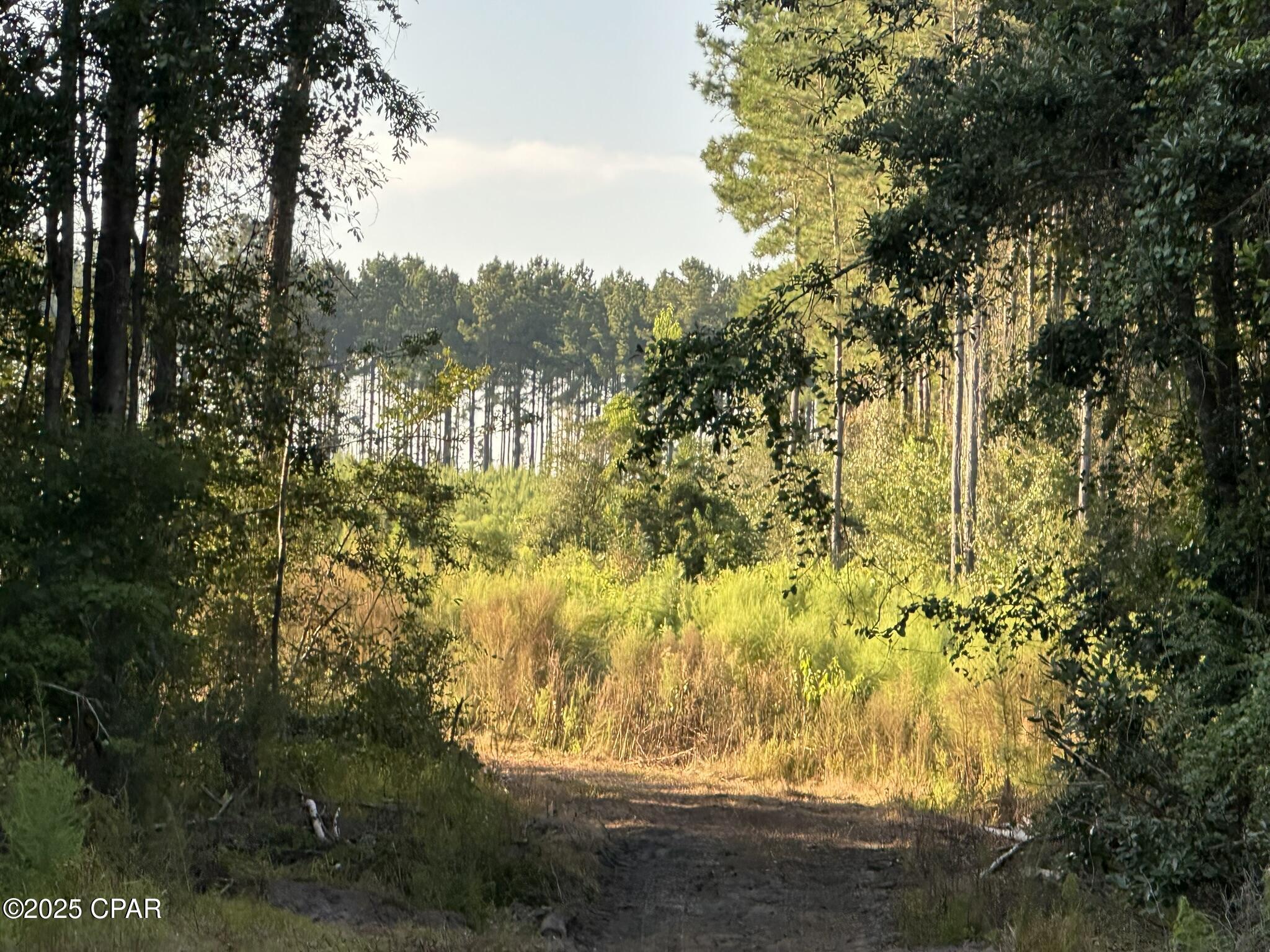 Potential for expansive 267.35+/- Acre Retreat! This impressive tract offers the space and flexibility to bring your vision to life. The possibilities are wide-ranging—create a private estate, working farm, recreational getaway, or hunting retreat. Access is available exclusively via Doyle Morgan Road along the Florida/Alabama line. The land is high and dry, offers paved road frontage, and power is accessible from the road, making future plans more attainable. From wide-open space for building or agriculture to room for horses, hunting, or ATV riding, this property offers something for everyone seeking a large rural setting. With turkey season around the corner, sportsmen will also appreciate the natural appeal. Opportunities like this are rare.