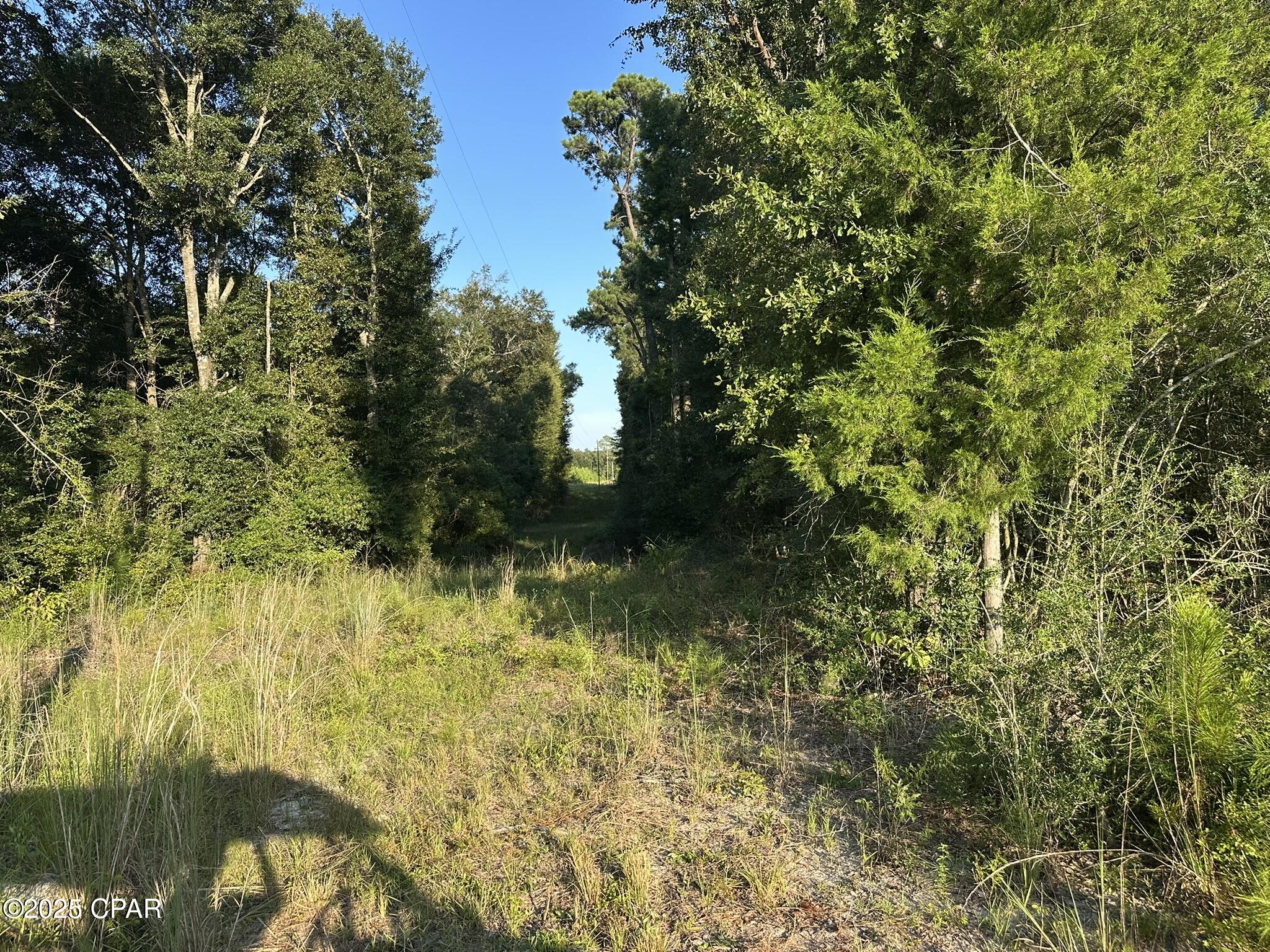 Other - Land
