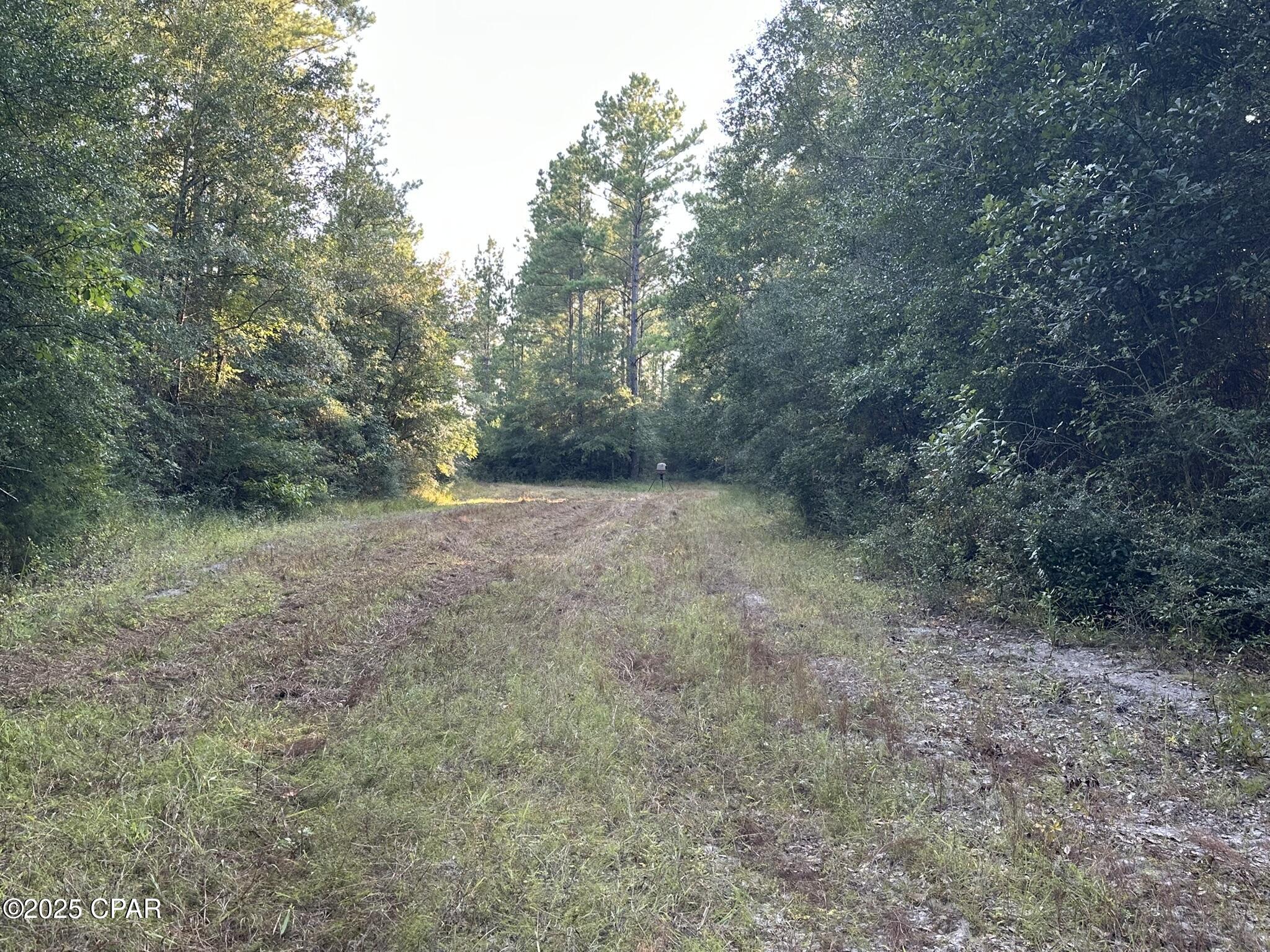 Other - Land