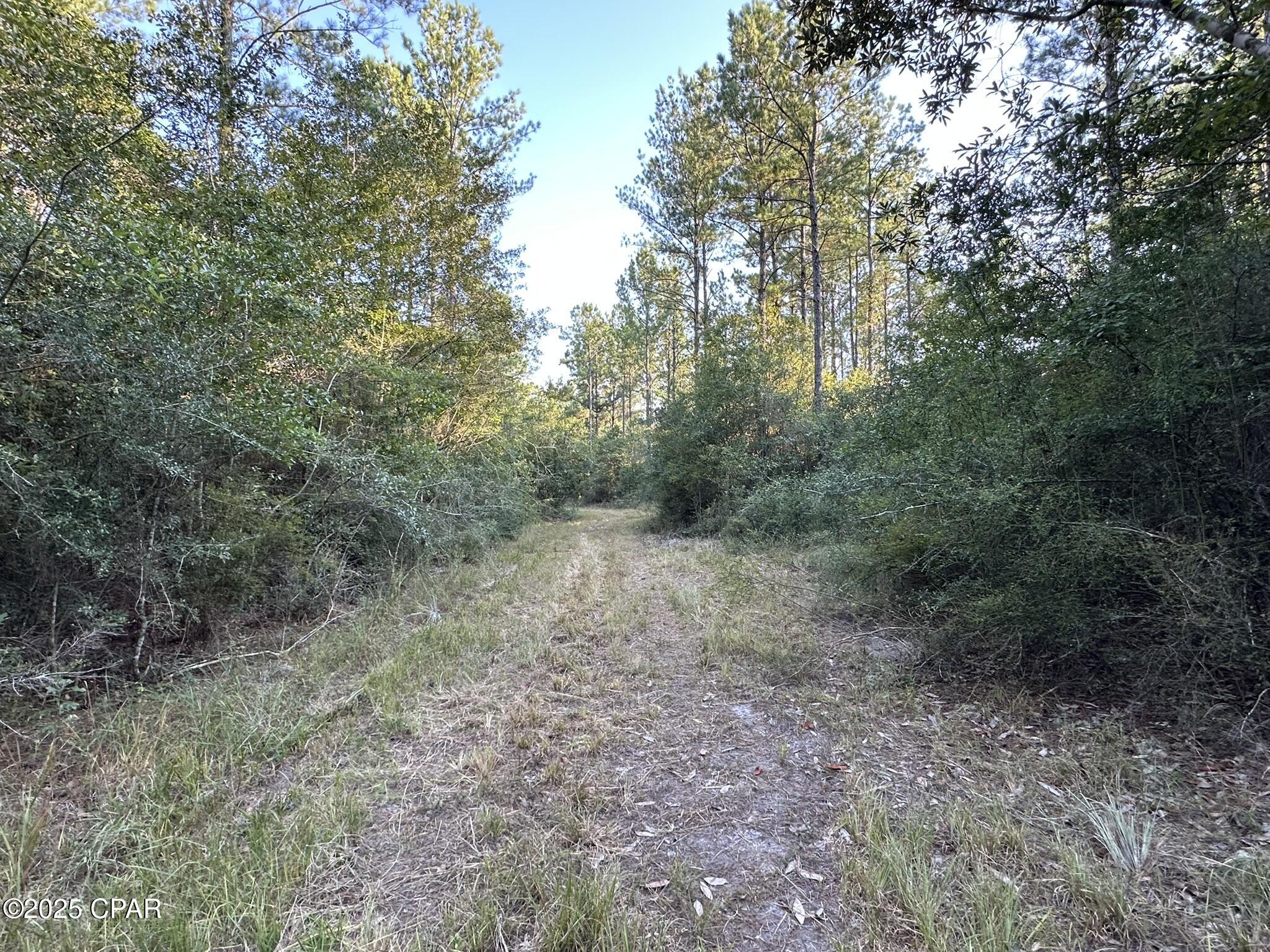 Other - Land