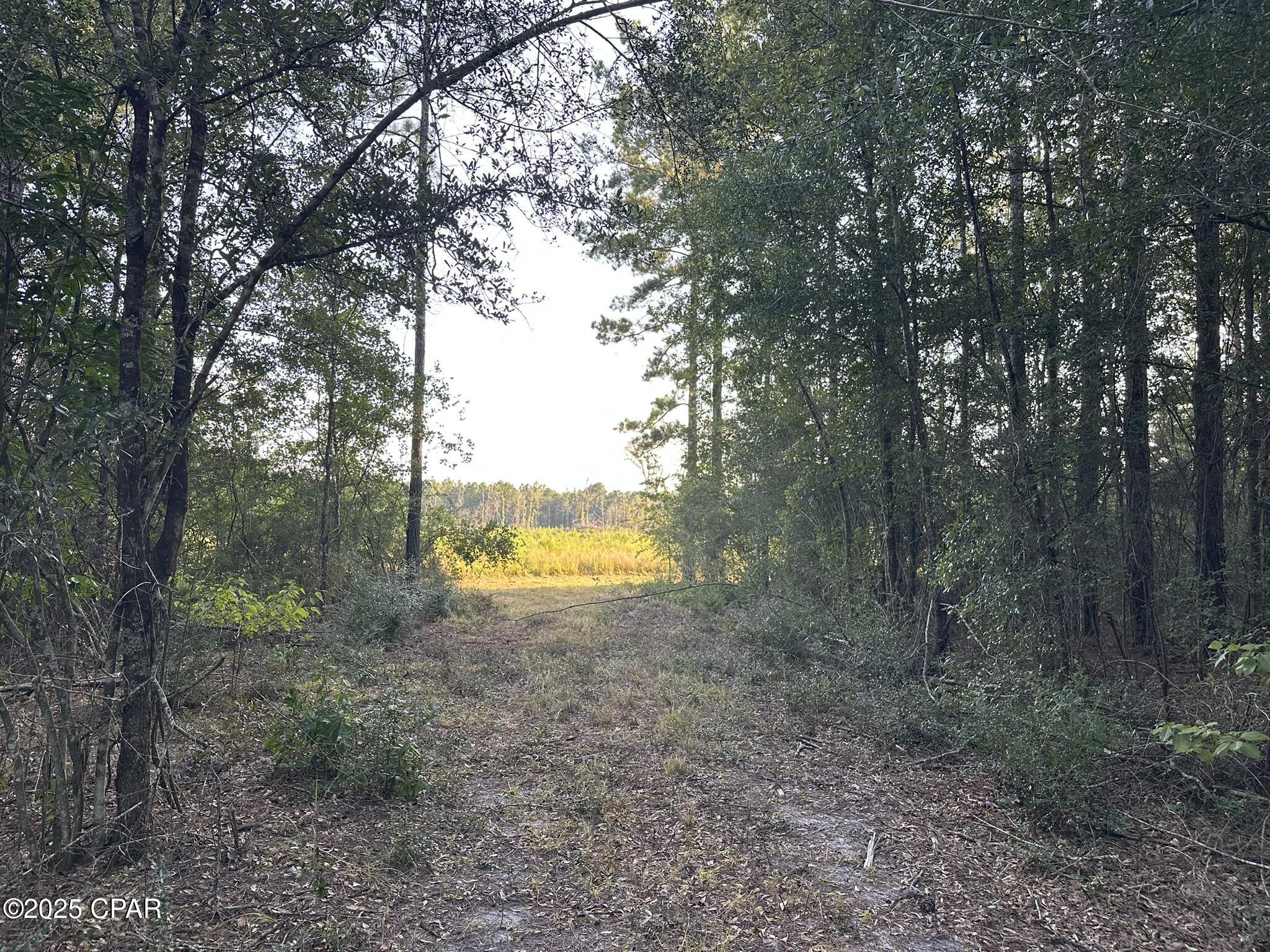 Other - Land