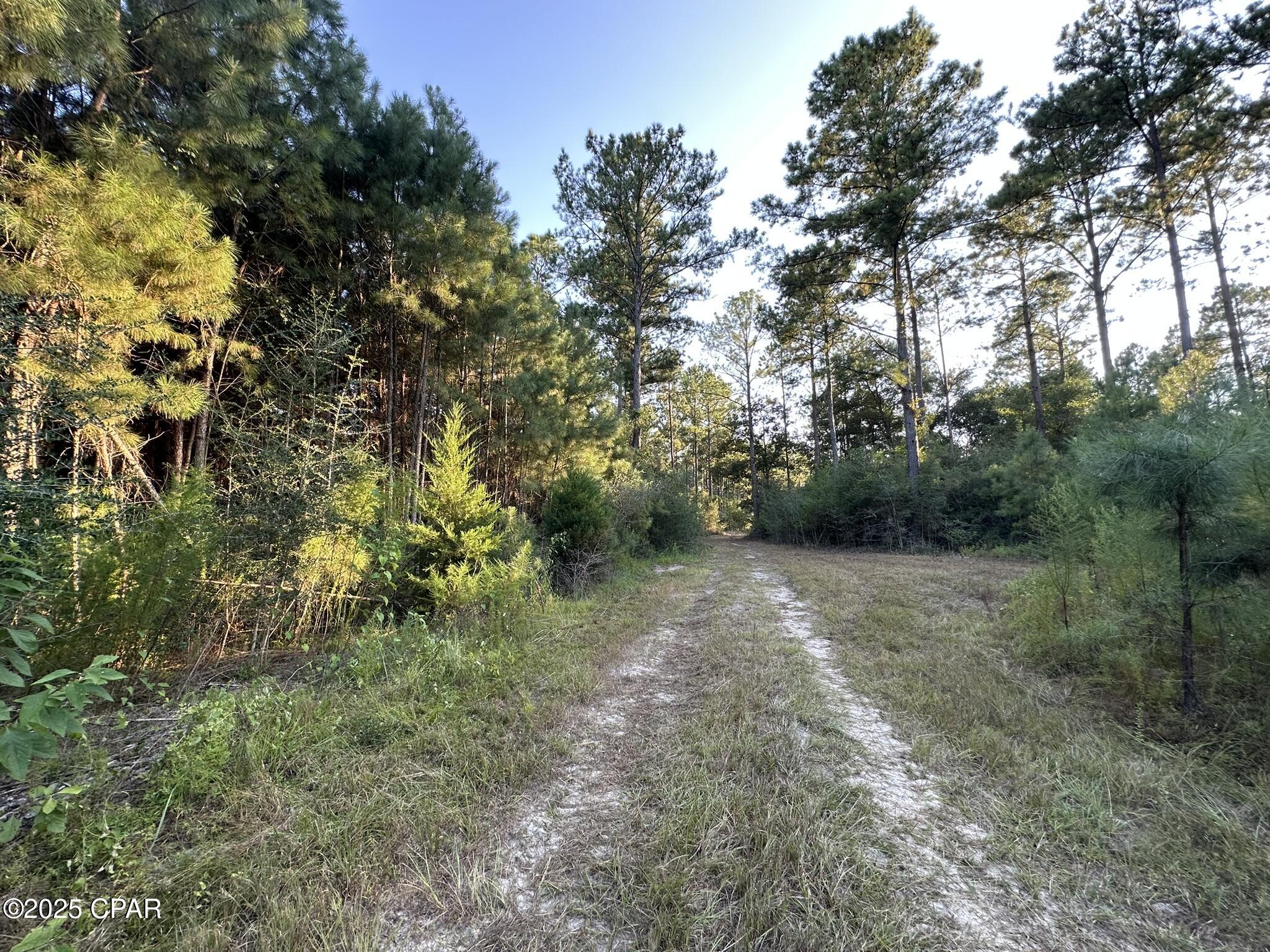 Other - Land