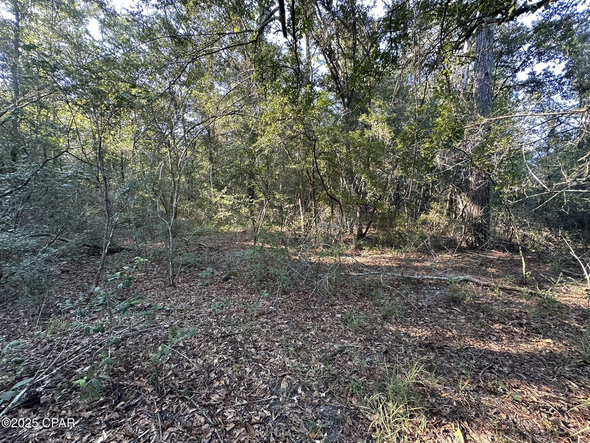 Other - Land