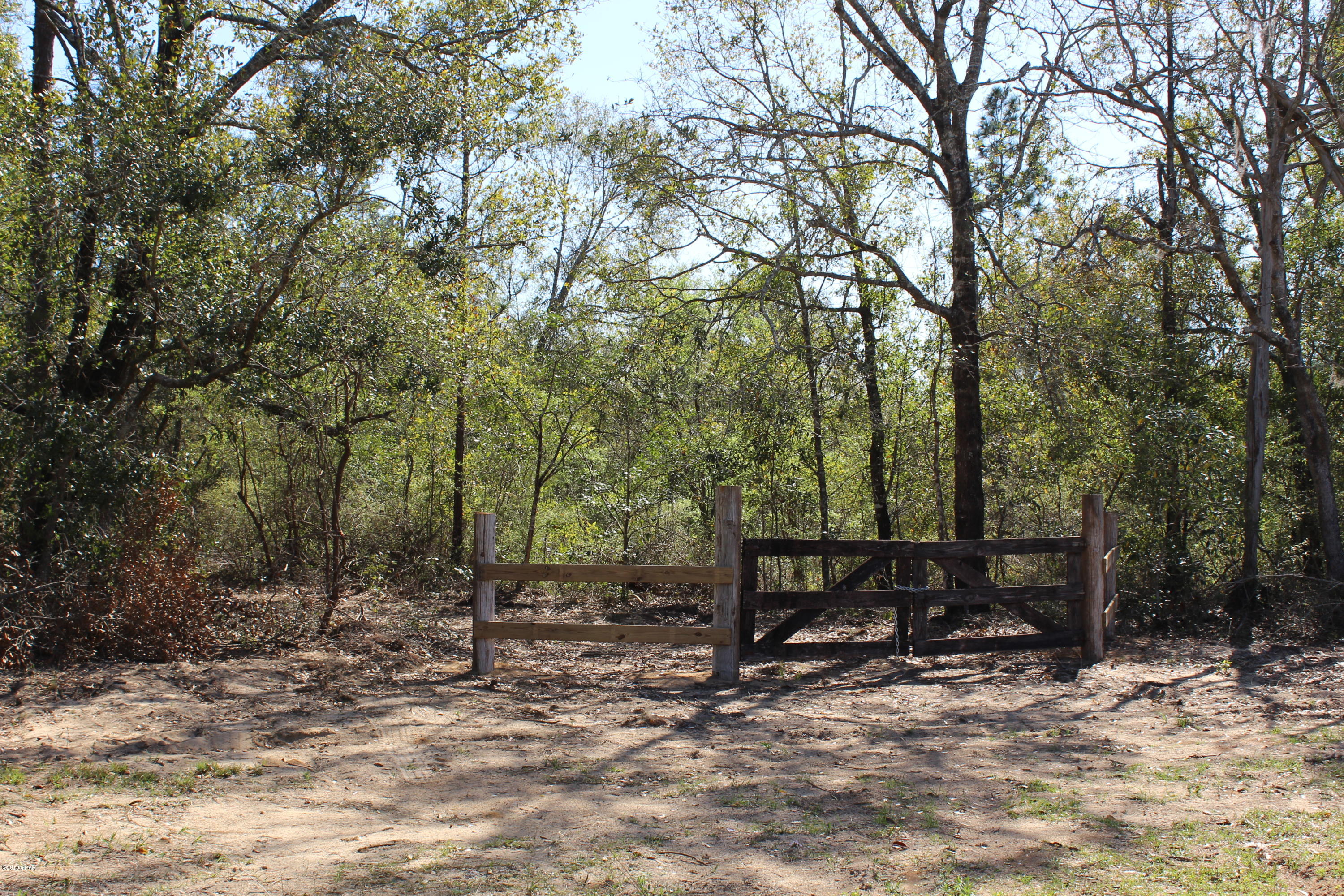 Pretty wooded homesite on paved road.  Easy drive to schools, town and the Beaches.  Go take a look, seller has cut a path in middle of lot to allow for views of the homesite.  Owner financing available, call for details today.