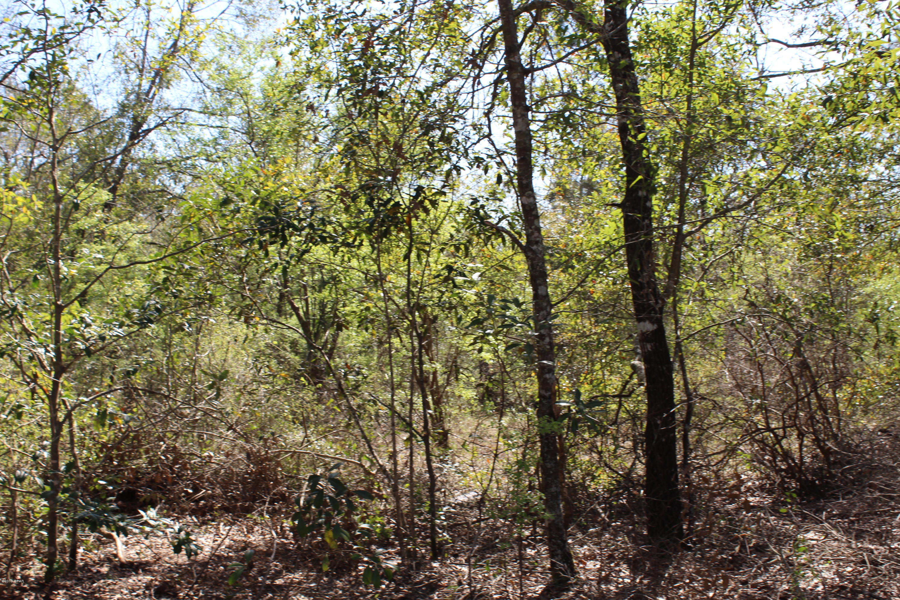 No Named Subdivision - Land